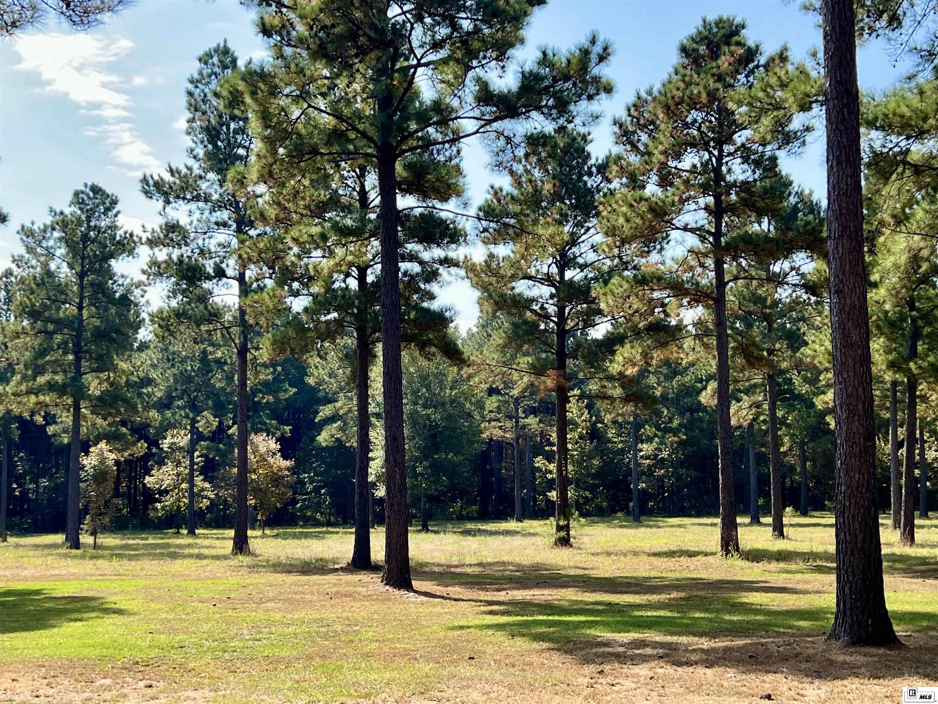 2503 Sugar Creek Road
