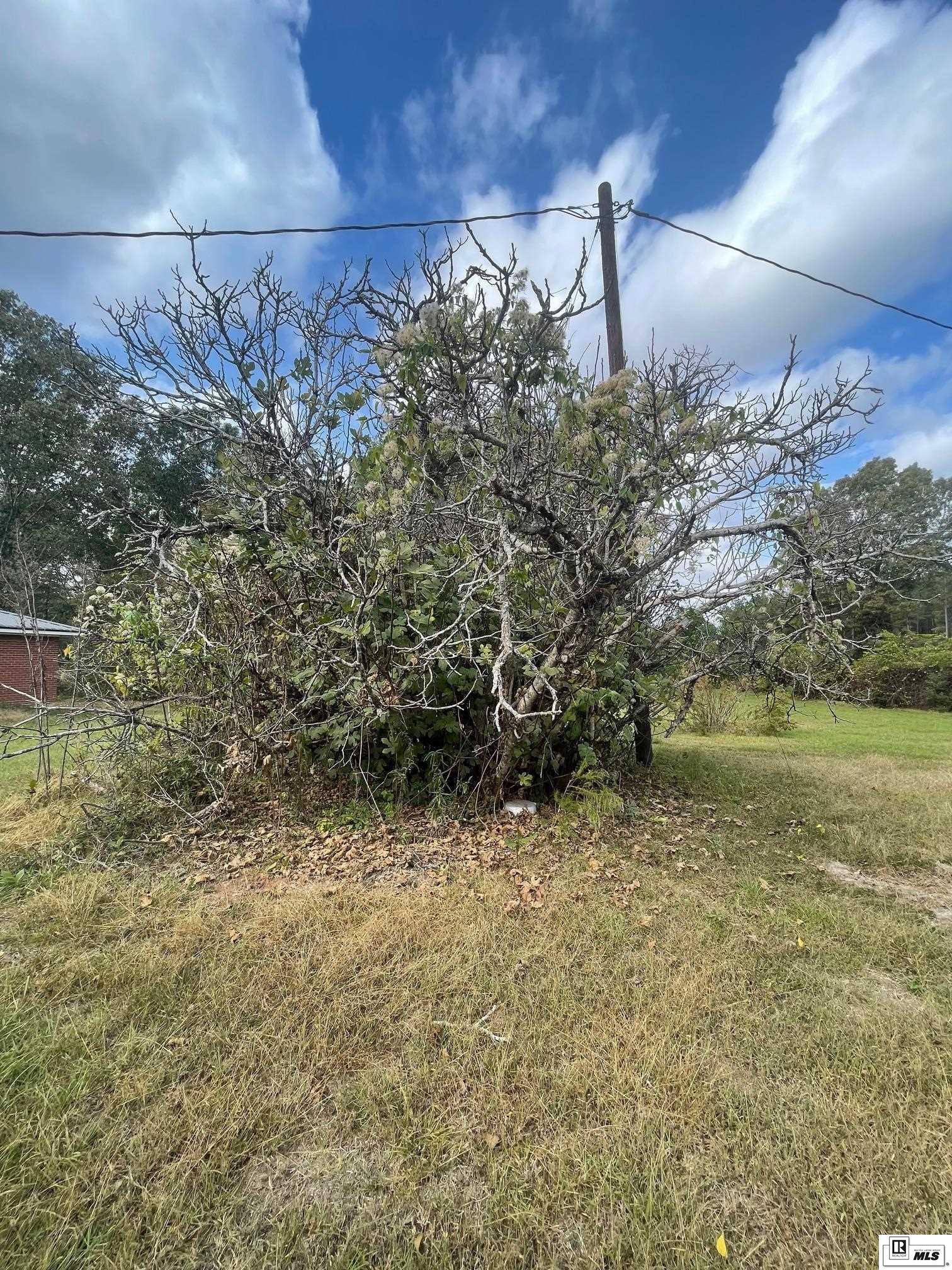 2098 Zoar Road