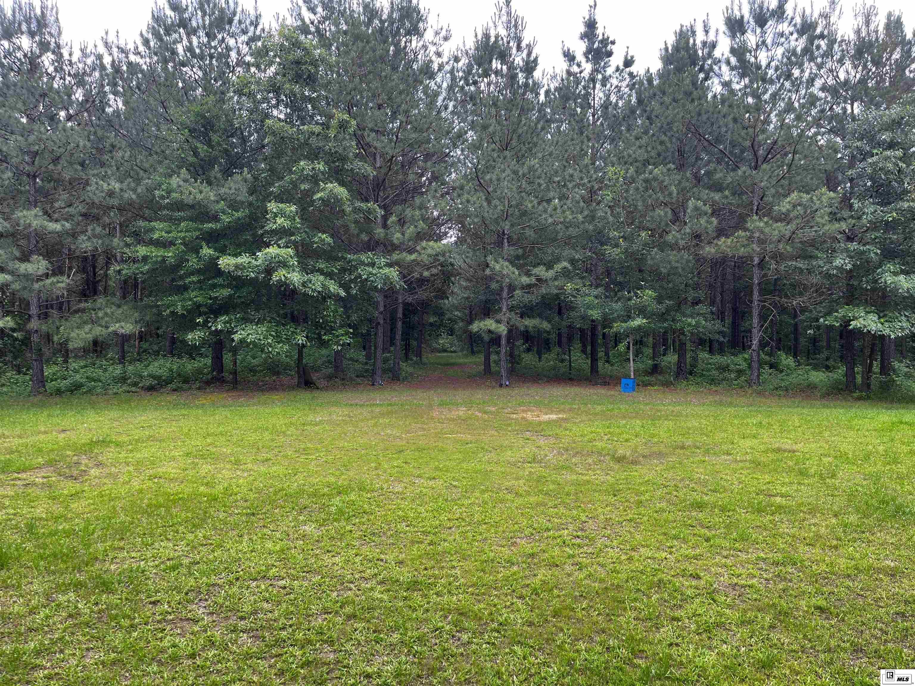 757 Linville Fire Tower Road