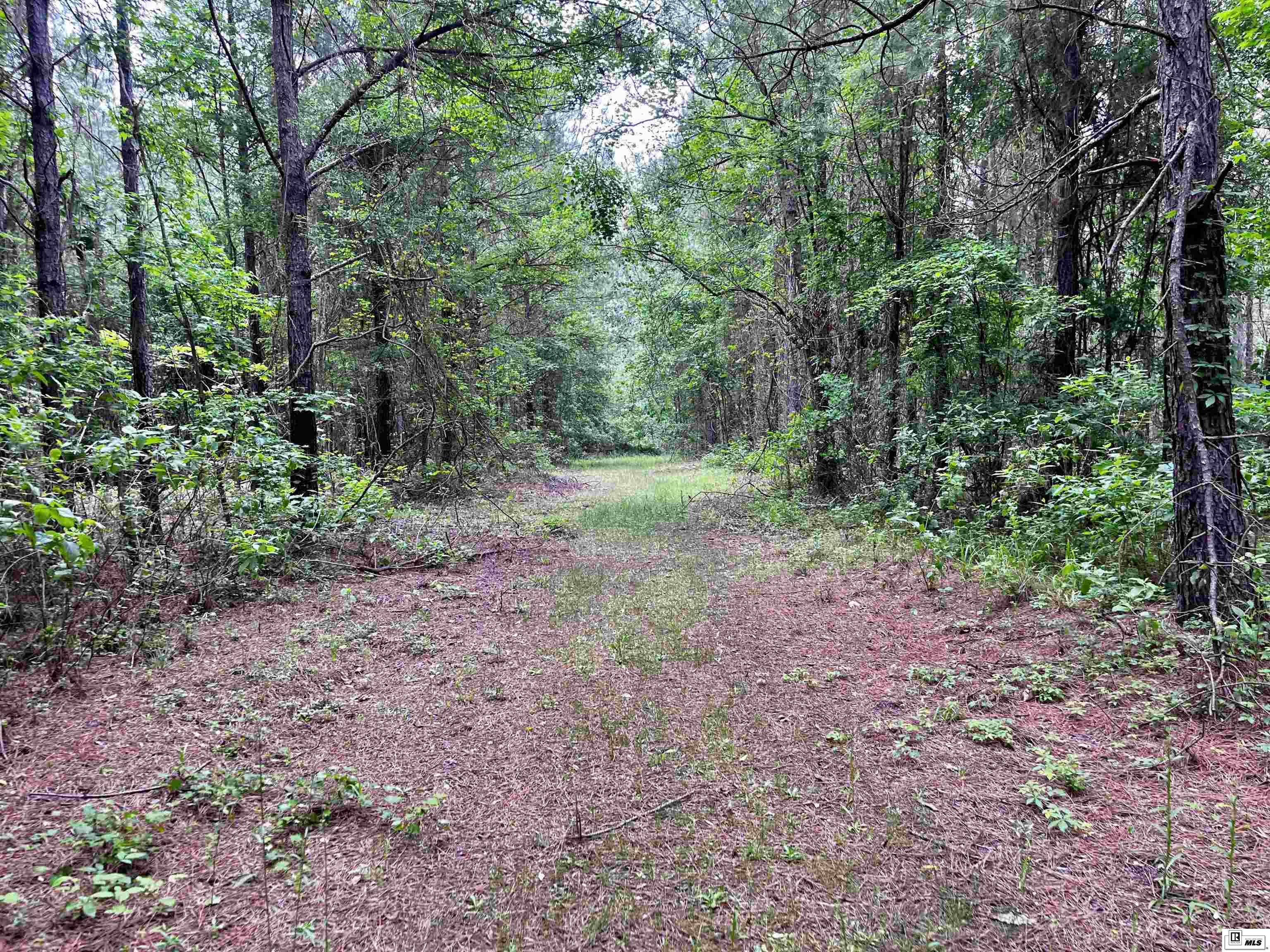 757 Linville Fire Tower Road