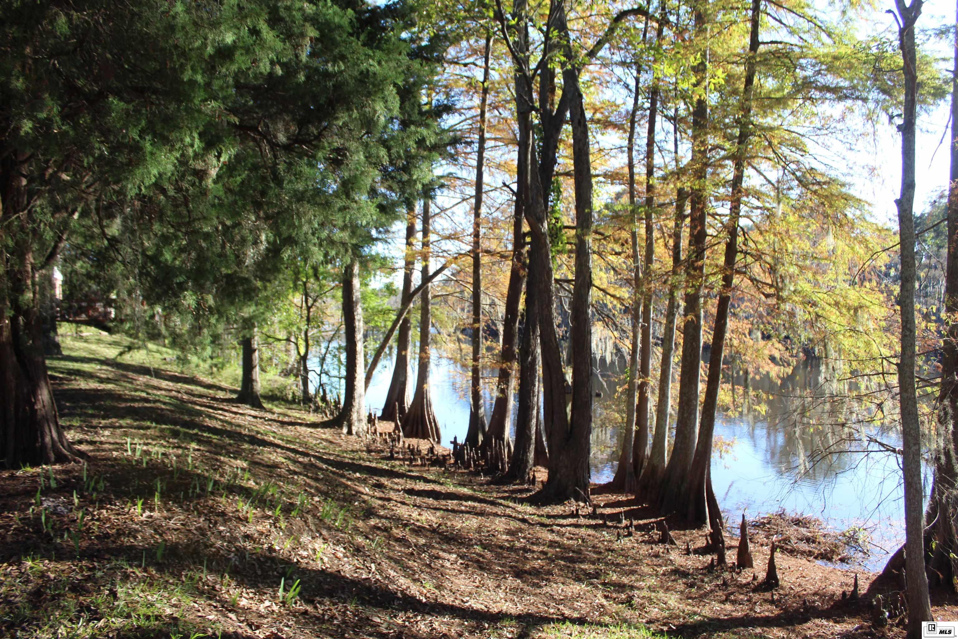 317 Bayou Oaks Drive