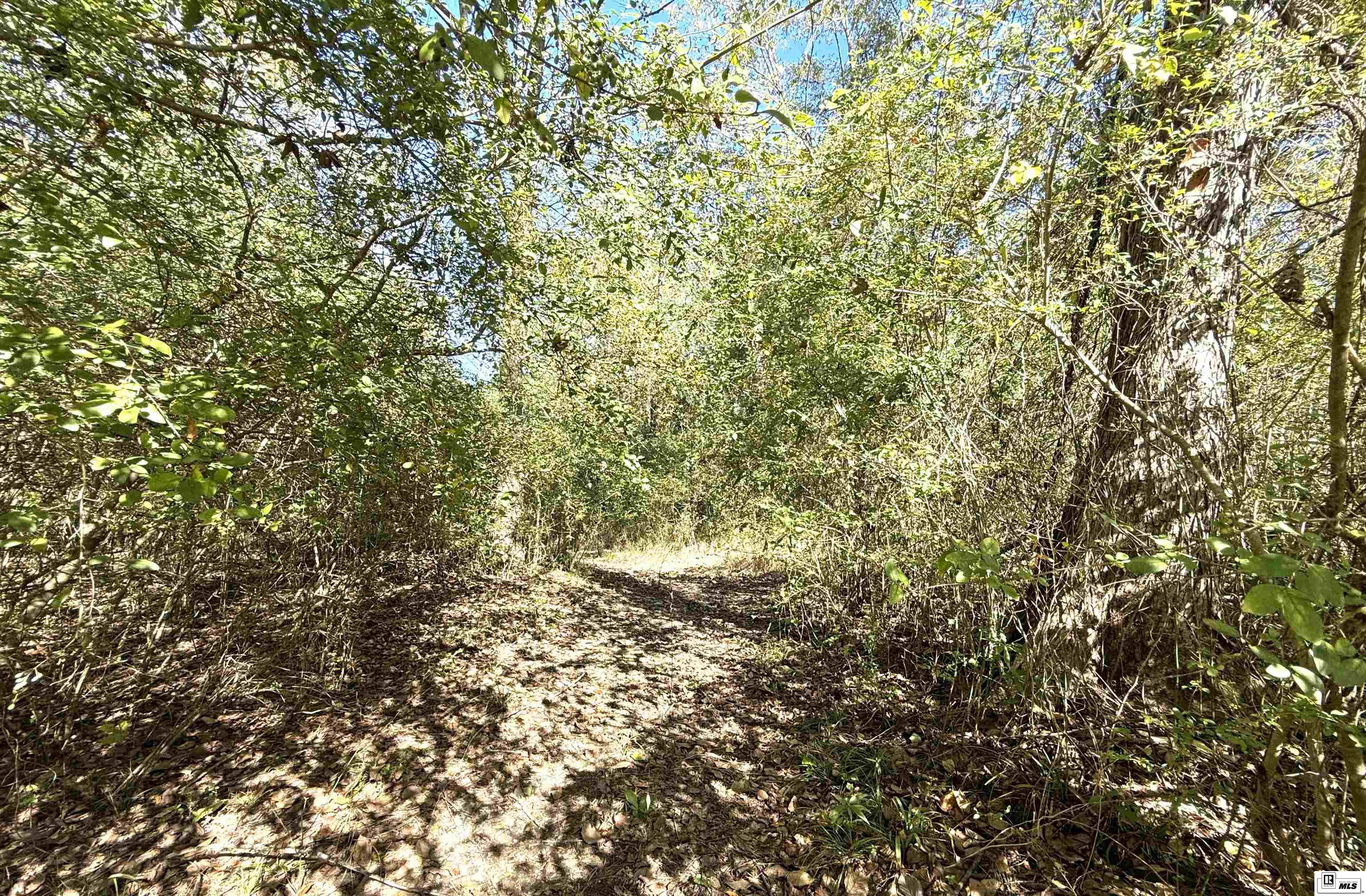 5565 Choctaw Ridge