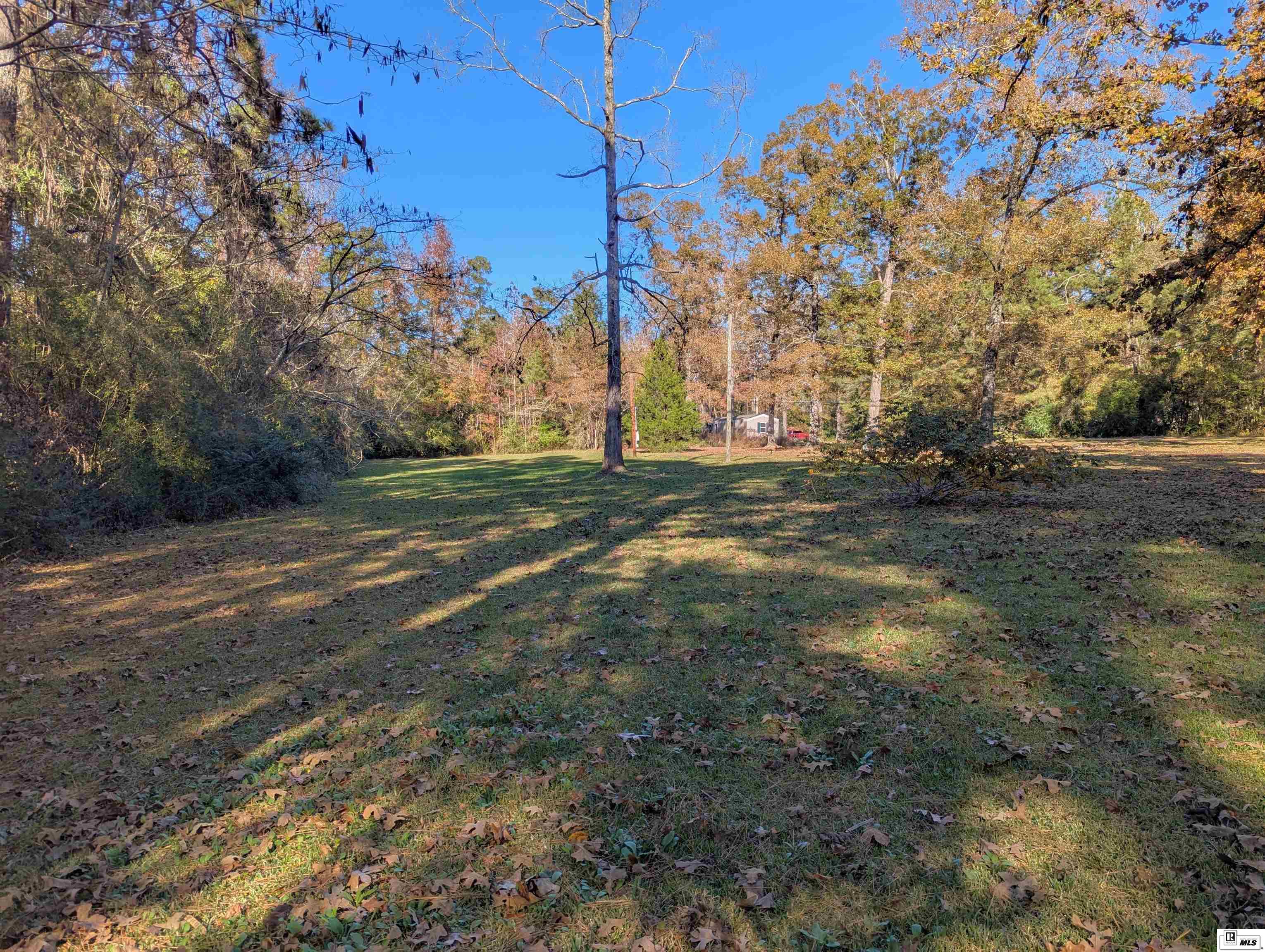 174 Sonni Lane