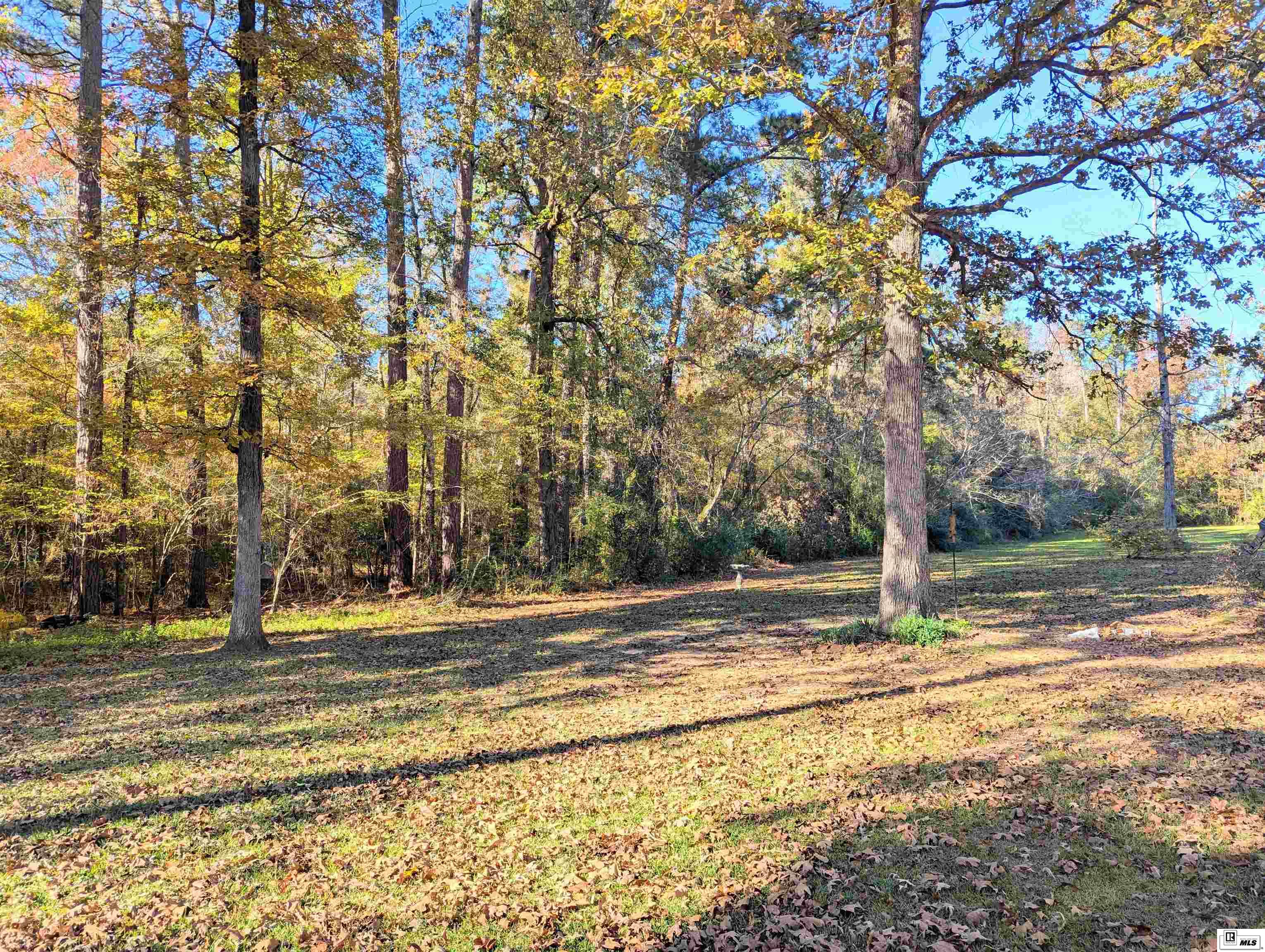 174 Sonni Lane