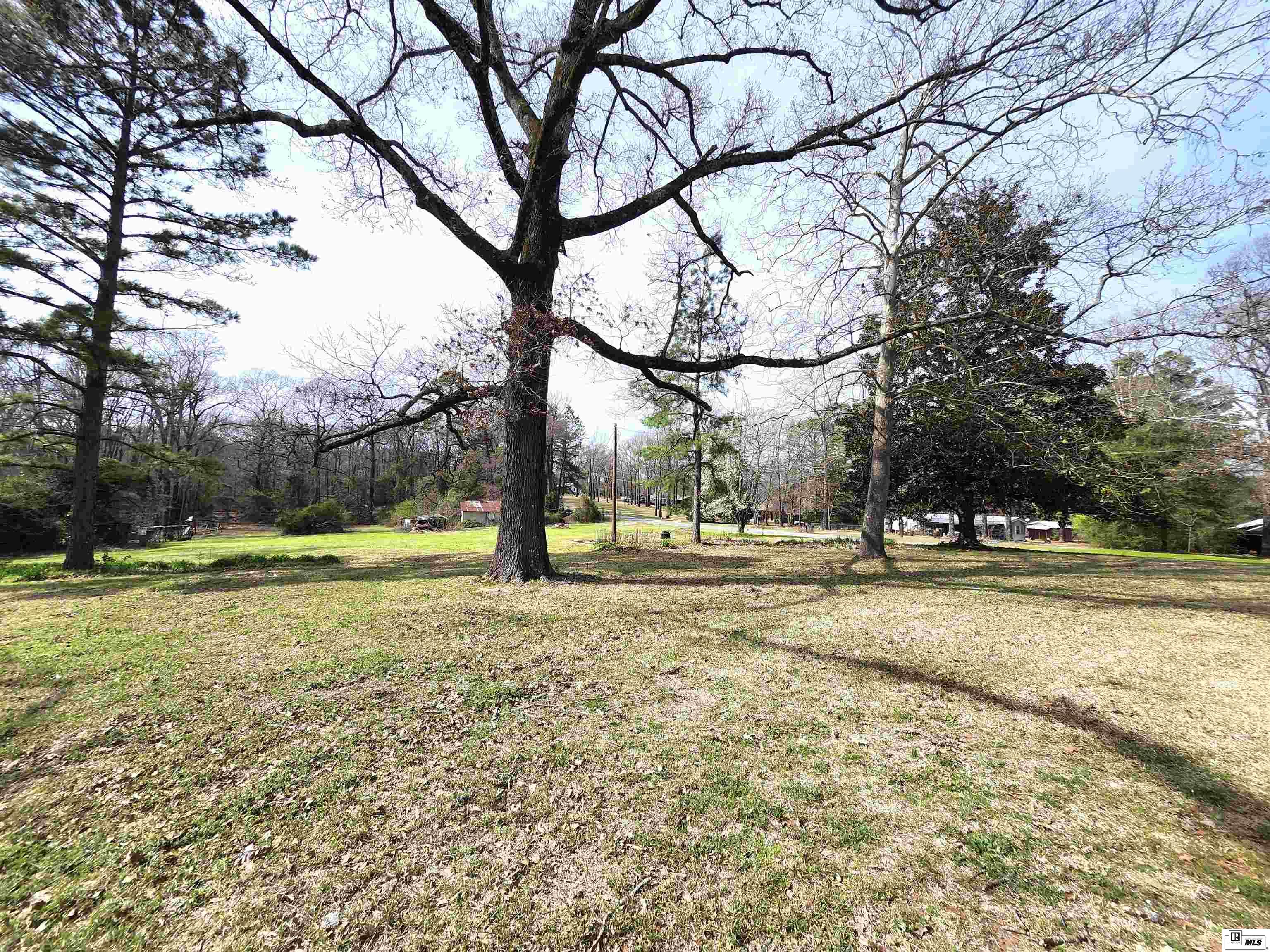 2202 Highway 546