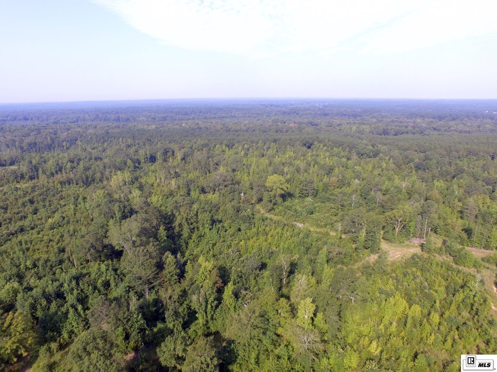 Photo of SNOWBALL ROAD 60 ac+/- East of Snowball Rd, Spearsville, LA 71277