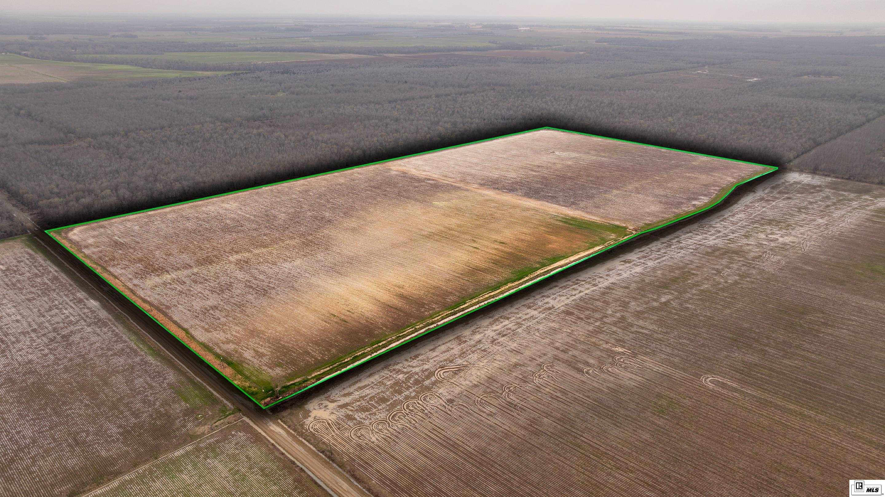 Photo of BARDEL ROAD Bardel Road, Rayville, LA 71269