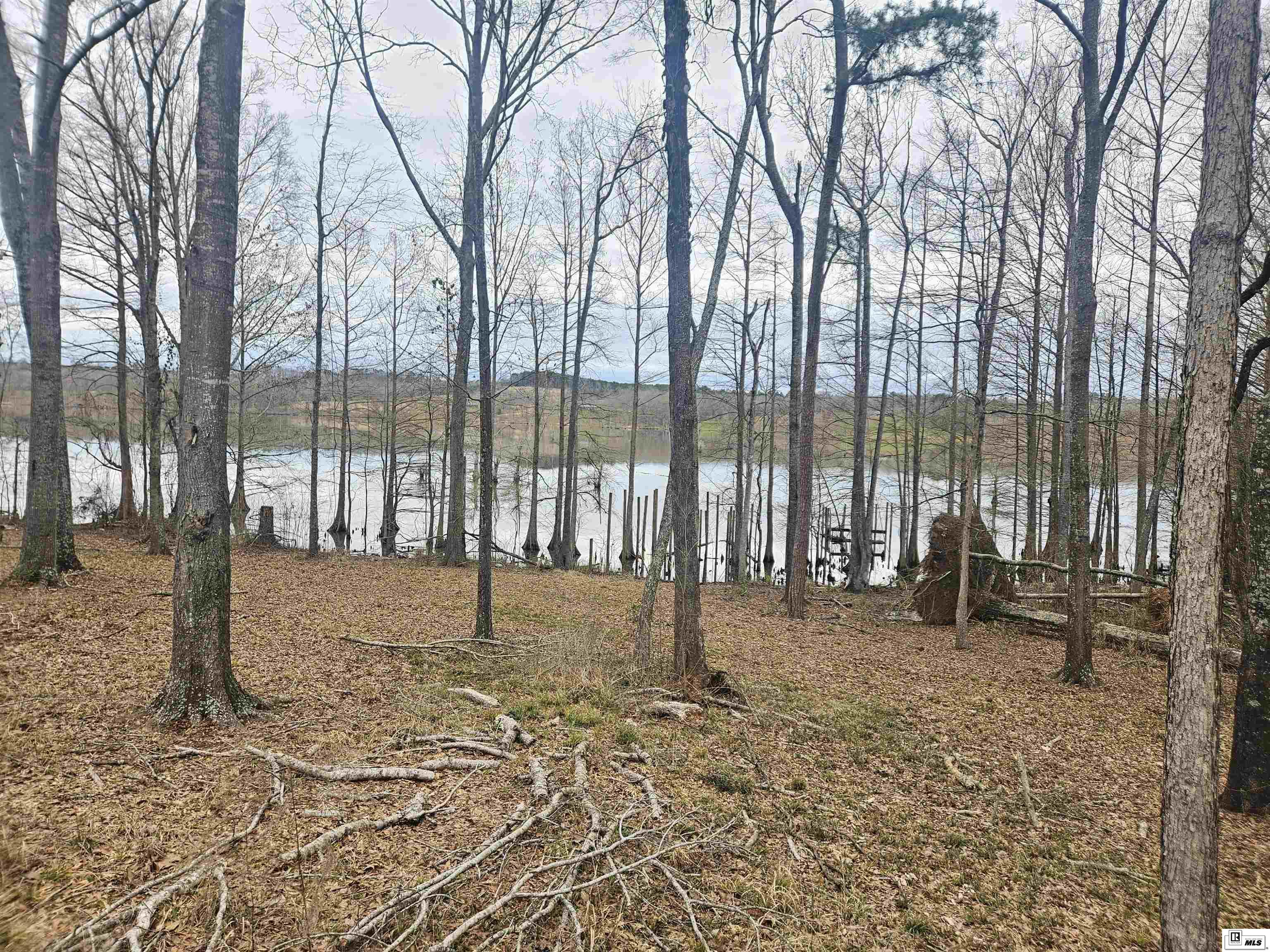 Photo of 358 LOLLEY ROAD, Downsville, LA 71234