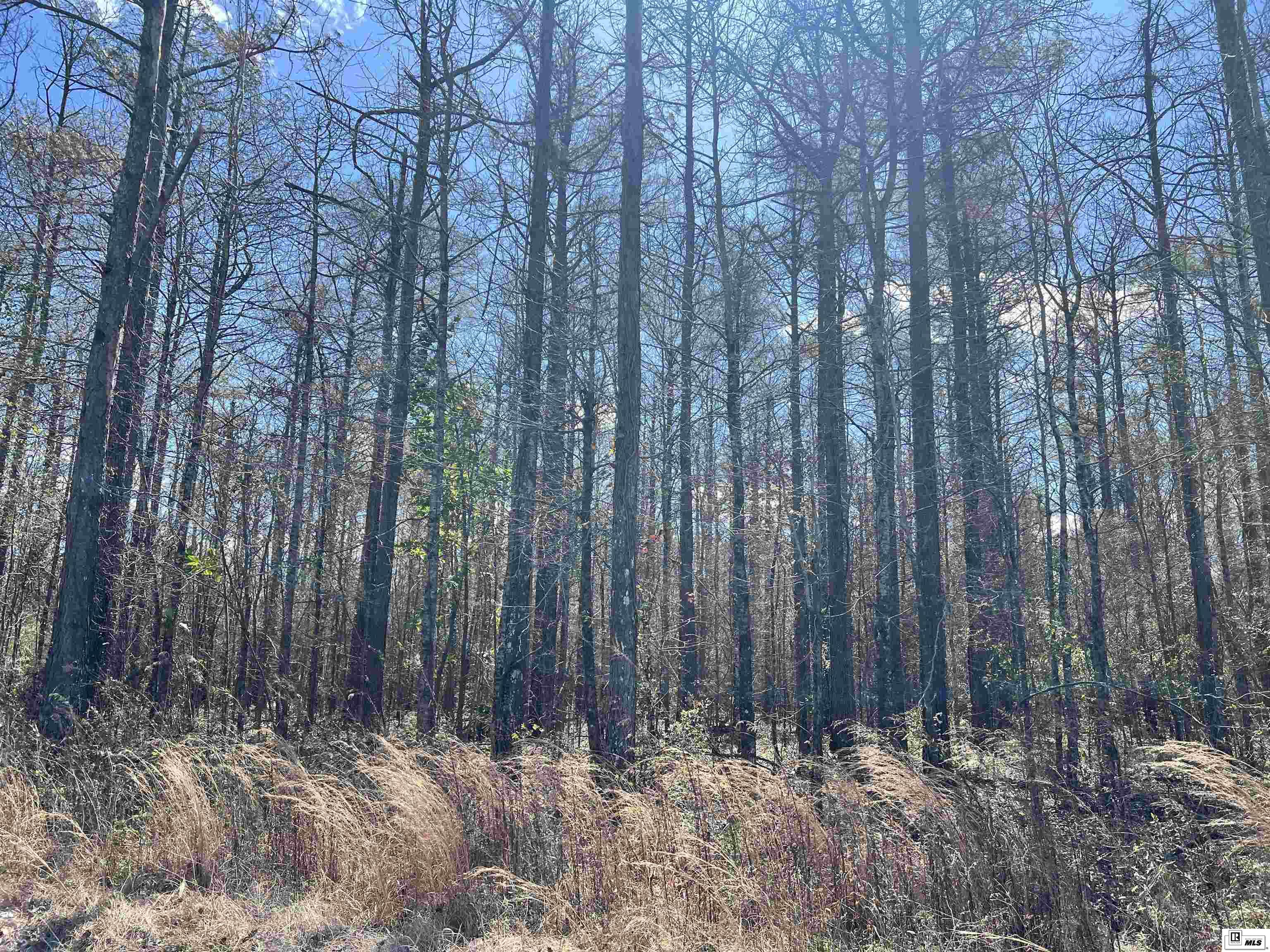 Photo of CARROLL ROAD, Oak Grove, LA 71263