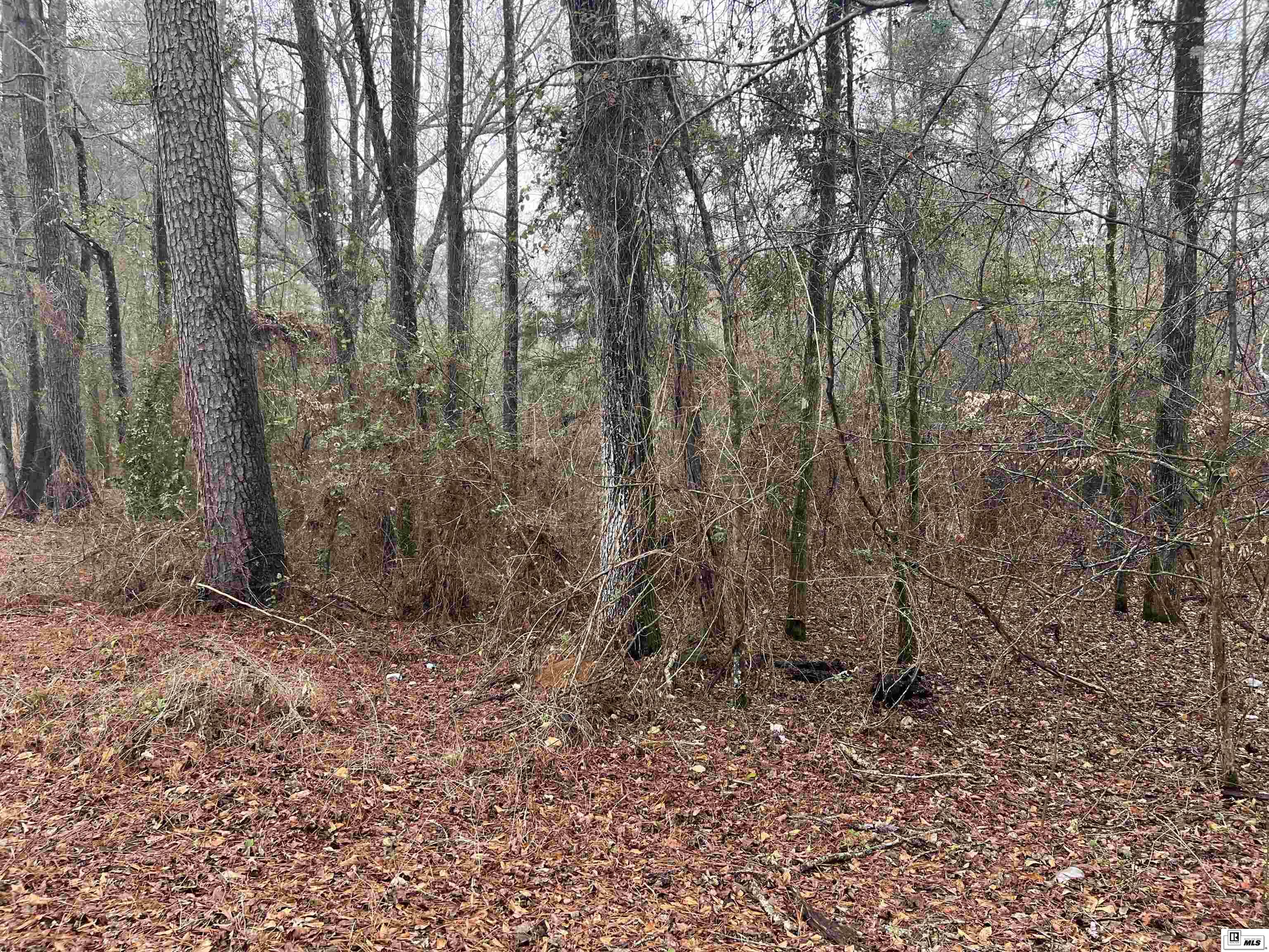 Photo of WEEMS ROAD, Downsville, LA 71234