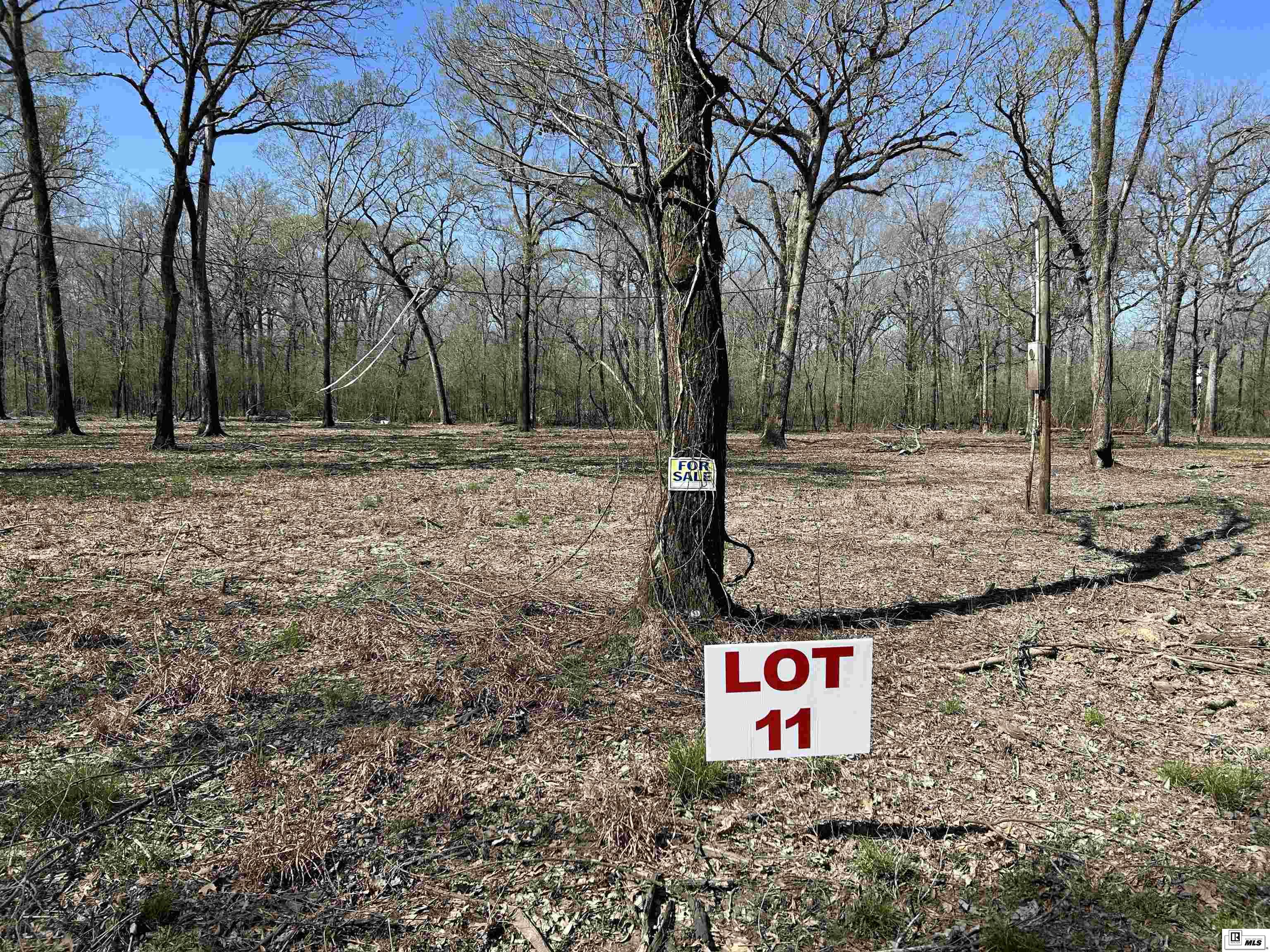 Photo of SCHOOL BOARD ROAD Lot 11, Marion, LA 71260