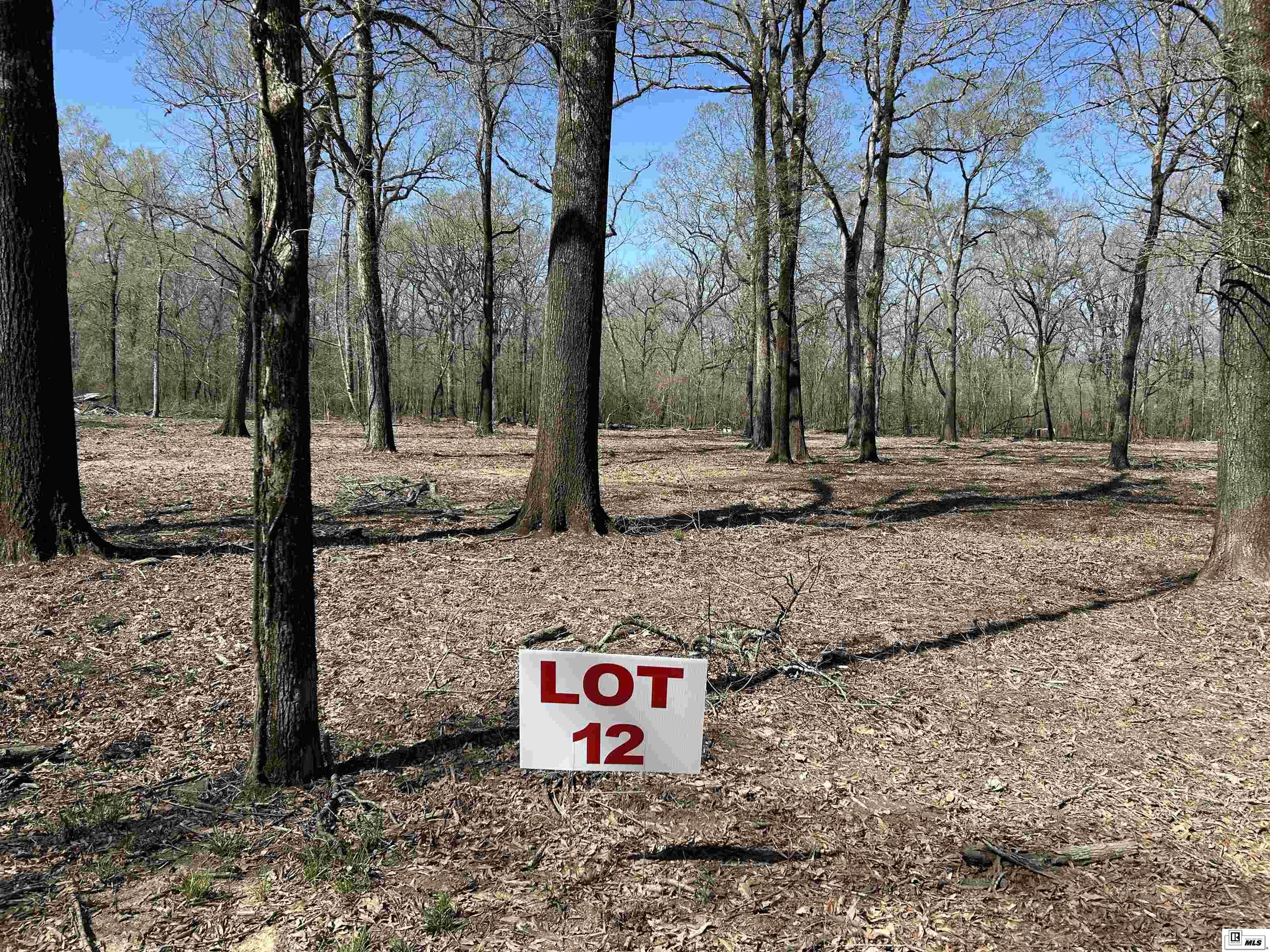 Photo of SCHOOL BOARD ROAD Lot 12, Marion, LA 71260