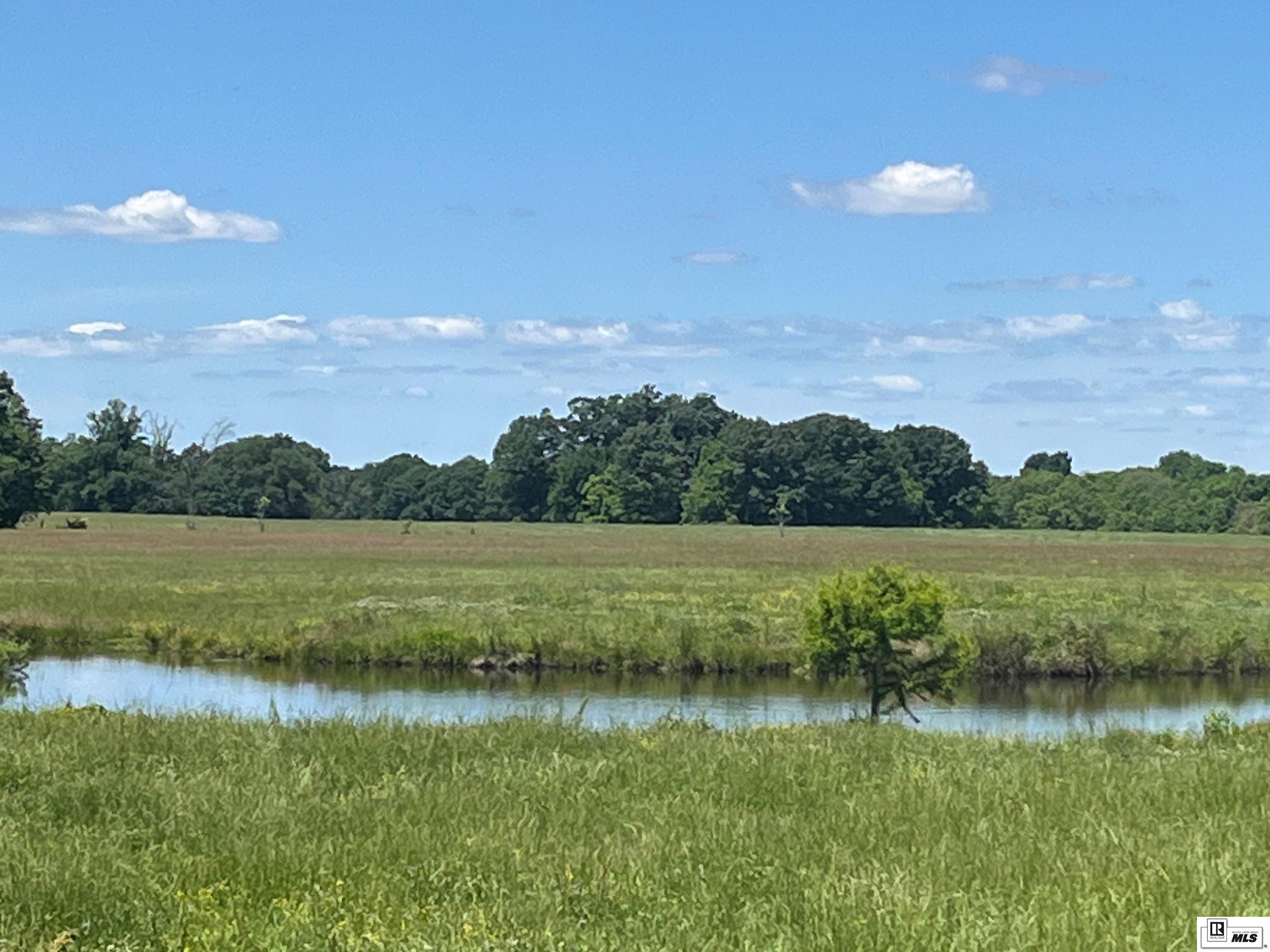 Photo of LANGSTON ROAD, Kilbourne, LA 71253