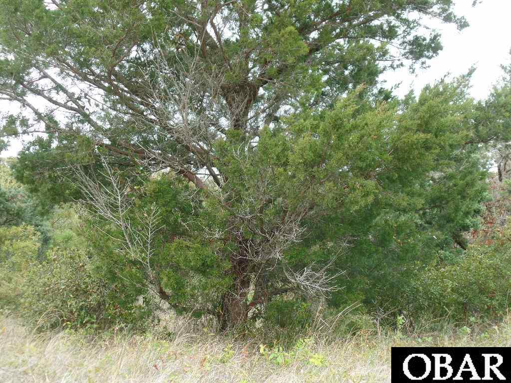 27210 Sea Chest Court, Salvo, NC 27972-0000, ,Lots/land,For sale,Sea Chest Court,104754