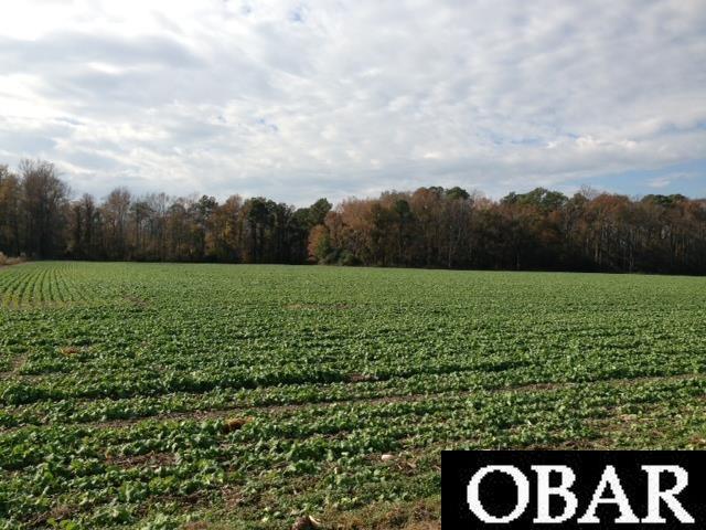 5720 Caratoke Highway, Poplar Branch, NC 27965, ,Lots/land,For sale,Caratoke Highway,111488