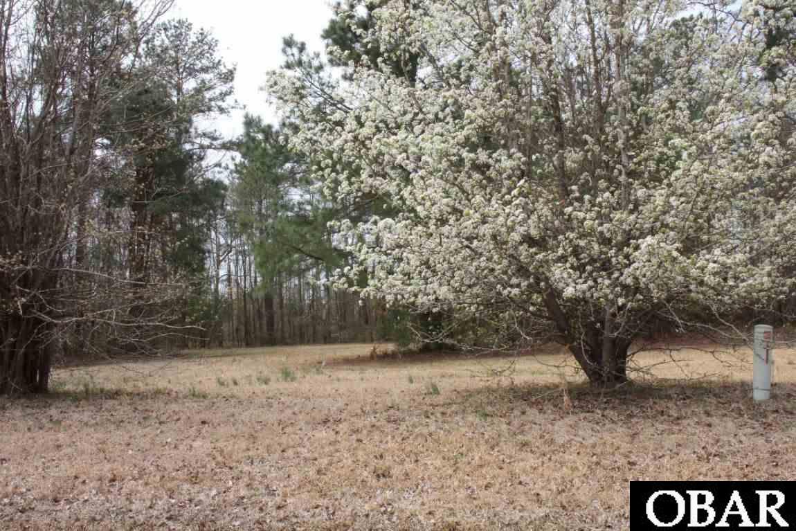 195 Carolina Club Drive, Grandy, NC 27939, ,Lots/land,For sale,Carolina Club Drive,113452
