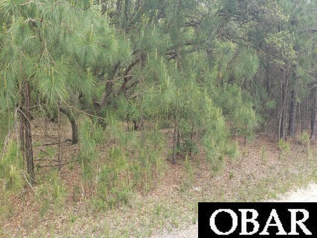 2387 Carova Road, Corolla, NC 27927, ,Lots/land,For sale,Carova Road,114204