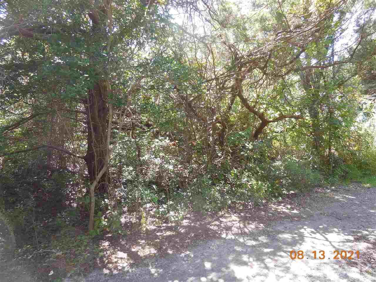 A beautiful 12,367 sq. ft. building lot in a private residential location with a good mix of rentals and year-round neighbors. Installed 3 bedroom septic system and a 3 bed/2 bath water meter convey with the sale. This oversized property has many mature trees, is off the beaten path and has the possibility of a marsh and sound view from a reversed plan home or rooftop deck! Great location for stargazing and sunsets! A wonderful setting for your Ocracoke dream home or trailer hook-up.