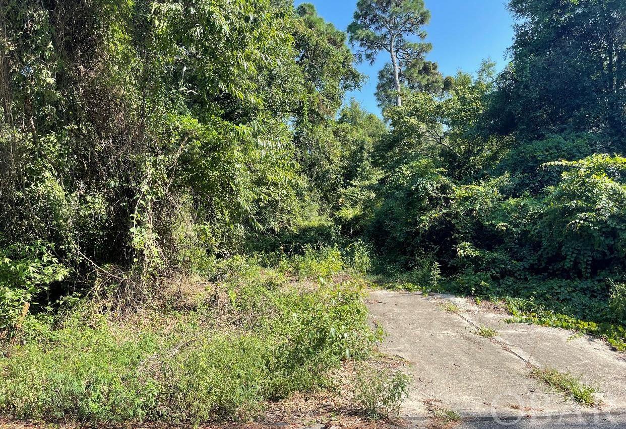 Buildable lot in Colington Harbour. High lot NOT in a flood zone. Manufactured home was on this lot years ago. Septic and county water tap in place. Concrete driveway apron intact. Owner plans to cut overgrowth on lot to allow easier access soon. Minimal HOA fee provides sound access, boat ramp, playground & park. Road maintenance also included in this fee. Pool and tennis are available by additional membership in the Colington Harbour Yacht & Racquet Club. Options abound...build your dream home or a simple weekend getaway or invest in OBX property and decide later.