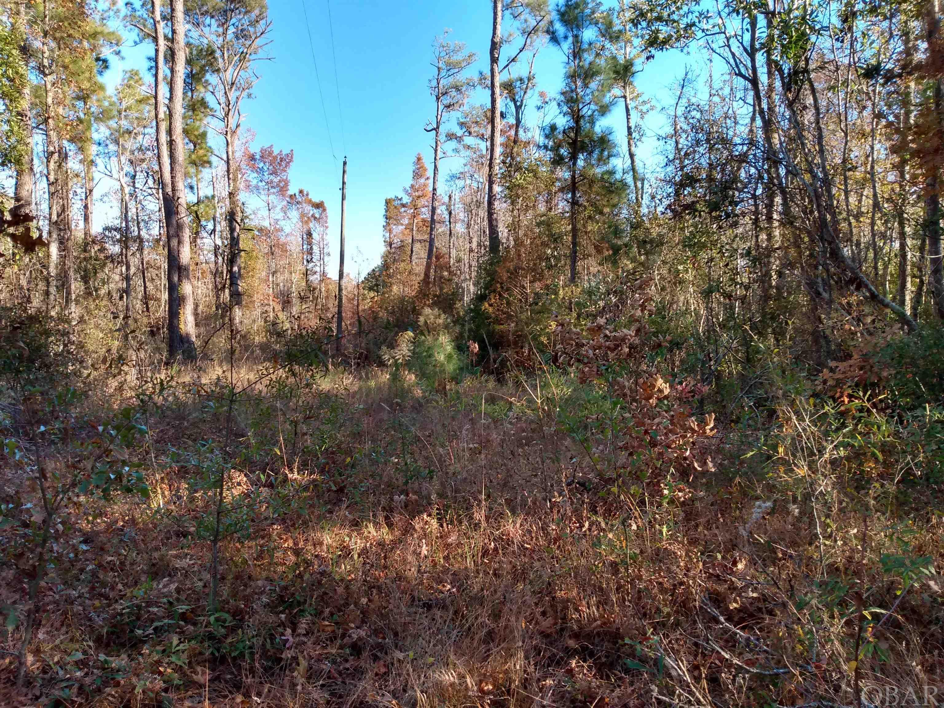 Partially wooded 1 acre residential lot in Tyrrell County, N.C. No restrictions! Electrical power and municipal water are available. Soils are believed to be suitable for conventional septic systems. Located along Riverneck Road this is an elongated lot with easy access. Excellent site for a mobile home or camper. Ideal for weekend stays or a stopping destination en route to the exciting N.C. Outer Banks! Great opportunity to take advantage of the abundant marine and wildlife resources in the area! Located 4 miles northwest of Columbia, N.C. Price to sell quickly at only $15,000!