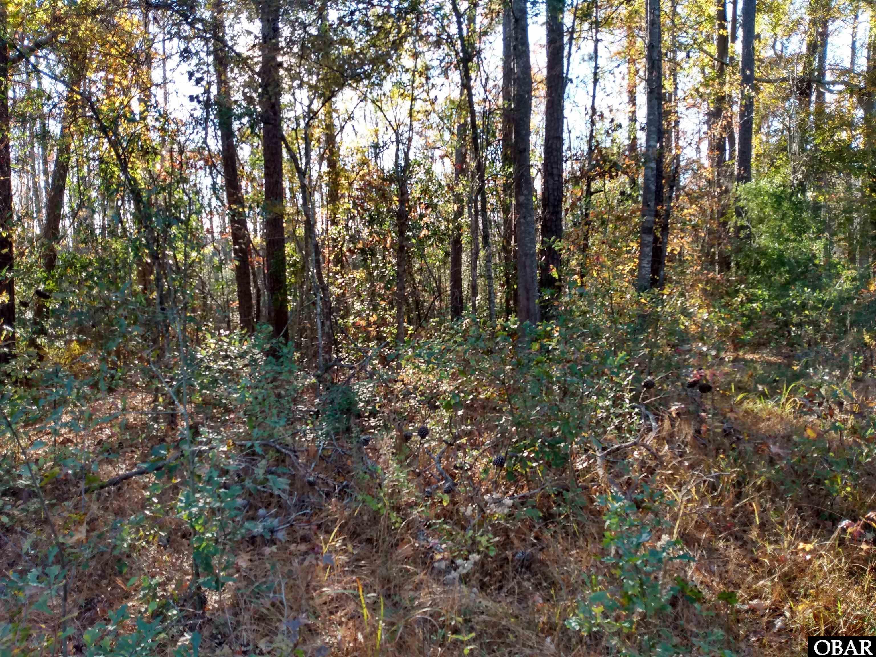 0 Riverneck Road, Columbia, NC 27925, ,Land,For Sale,Riverneck Road,117093