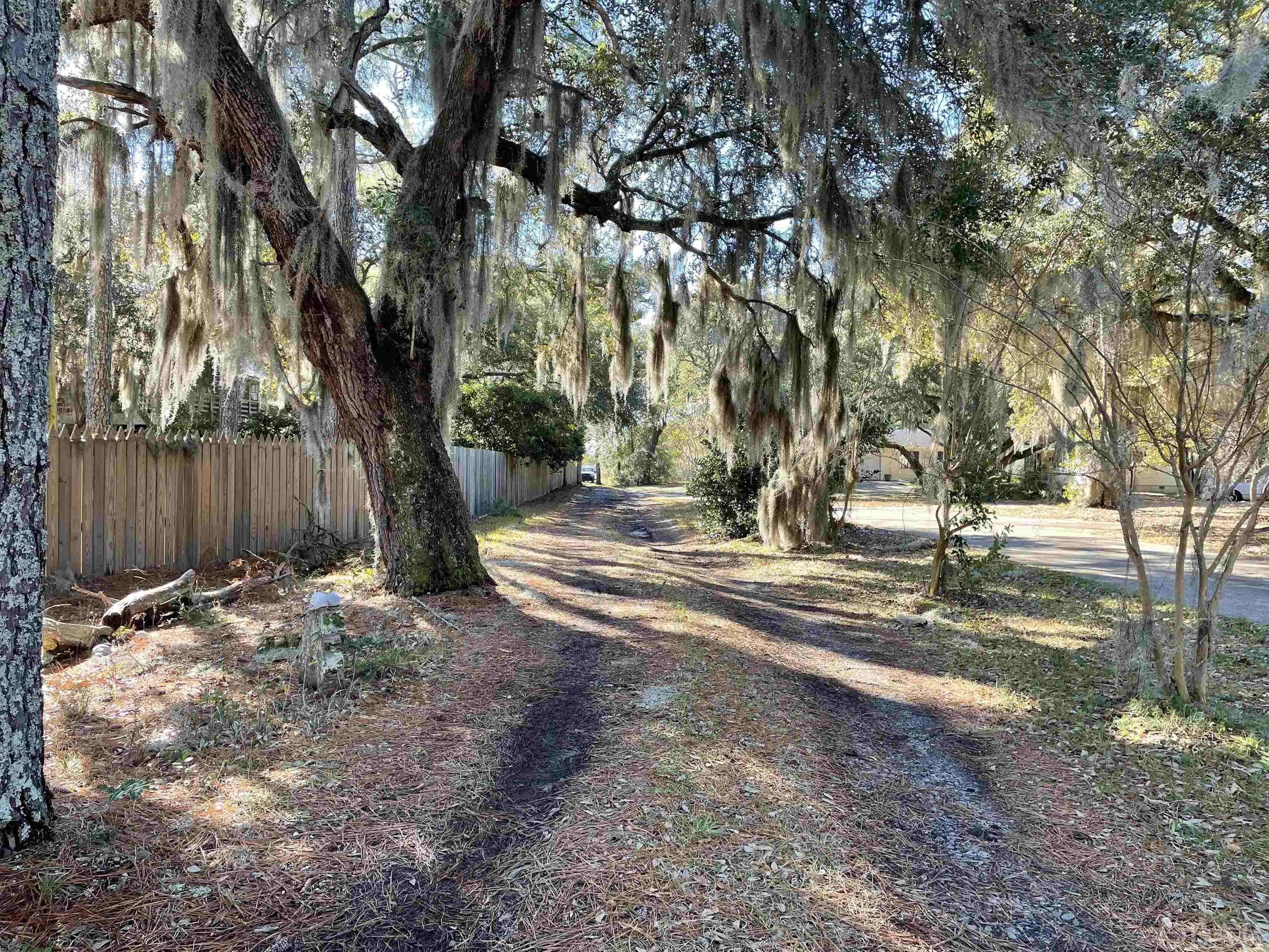 Beautiful Manteo homesite with lots of privacy.  Enter by driving down the extended driveway which takes you to the cleared area that should offer views of the marsh and sound to enjoy the stunning sunsets. The site has already been prepped with a septic system for a Four bedroom home and the water tap fee has been paid in full.