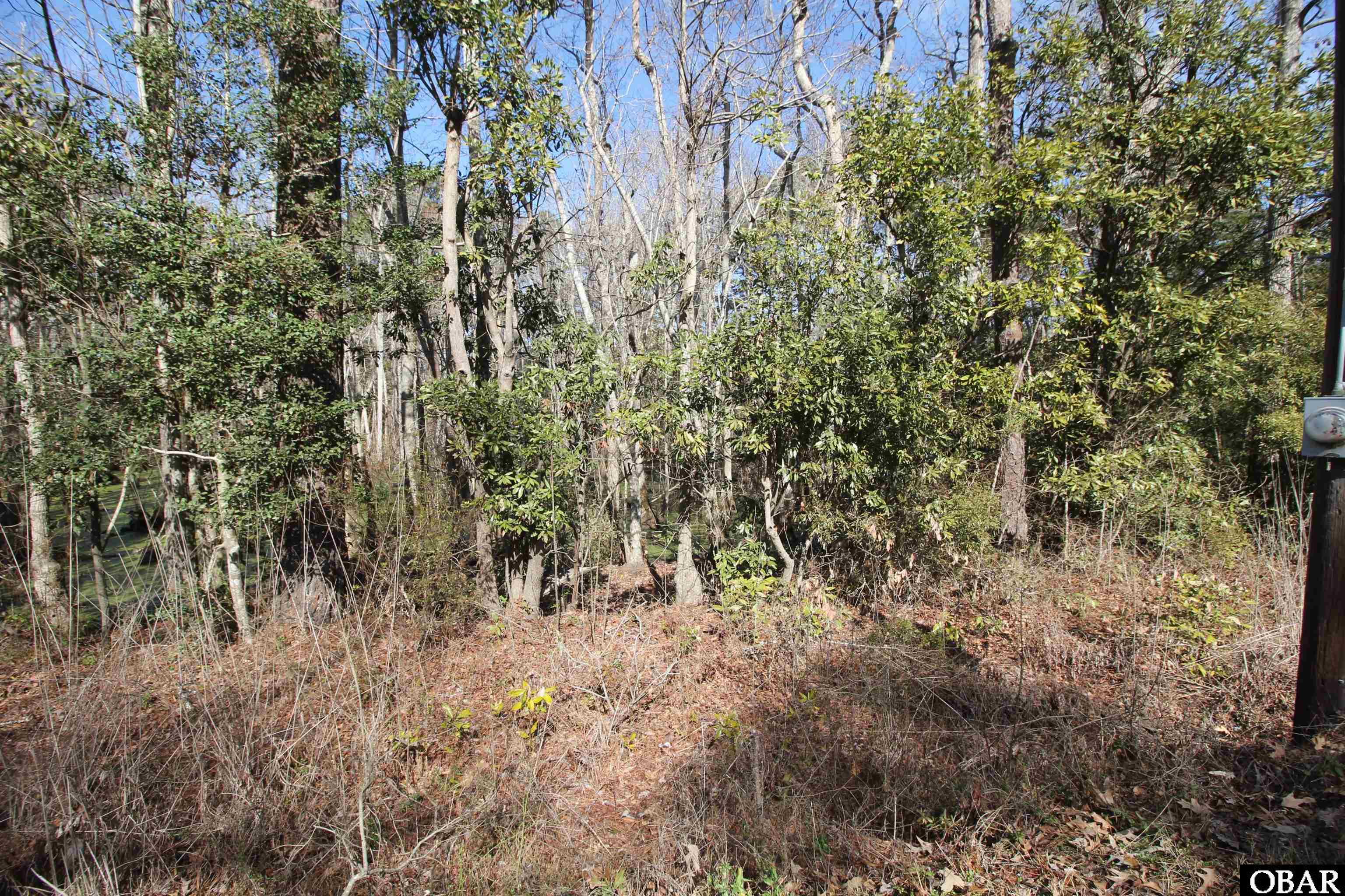 133 Lawrence Street, Jarvisburg, NC 27947, ,Land,For Sale,Lawrence Street,118104