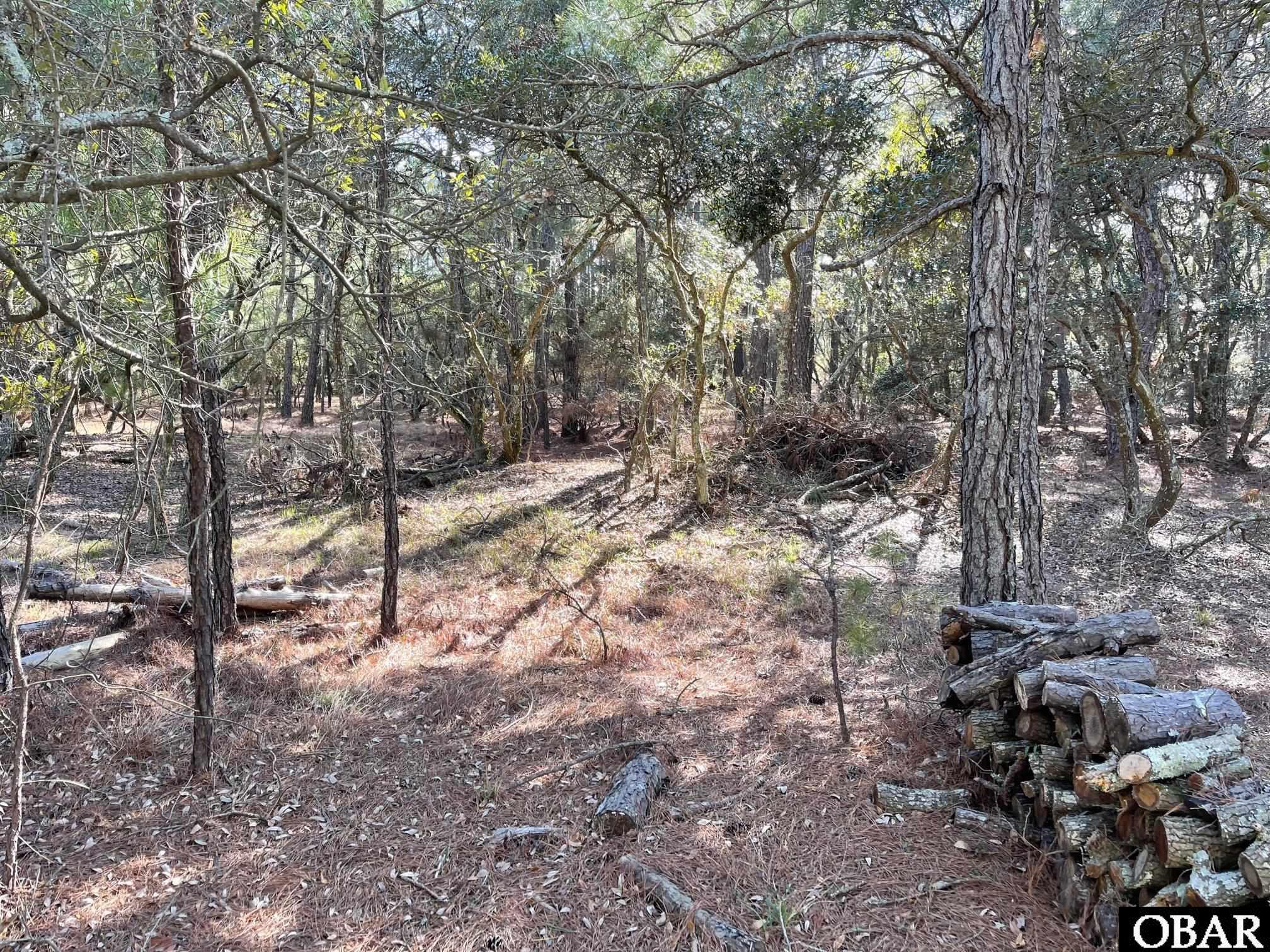2370 False Cape Road, Corolla, NC 27927, ,Land,For Sale,False Cape Road,118299