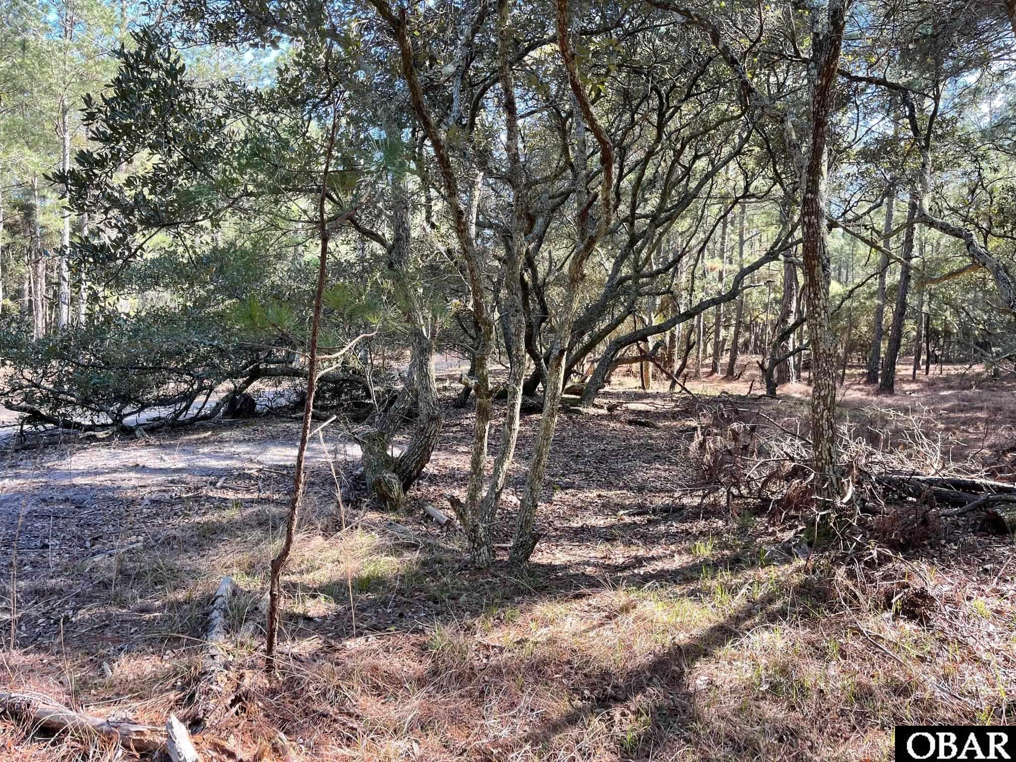 2370 False Cape Road, Corolla, NC 27927, ,Land,For Sale,False Cape Road,118299