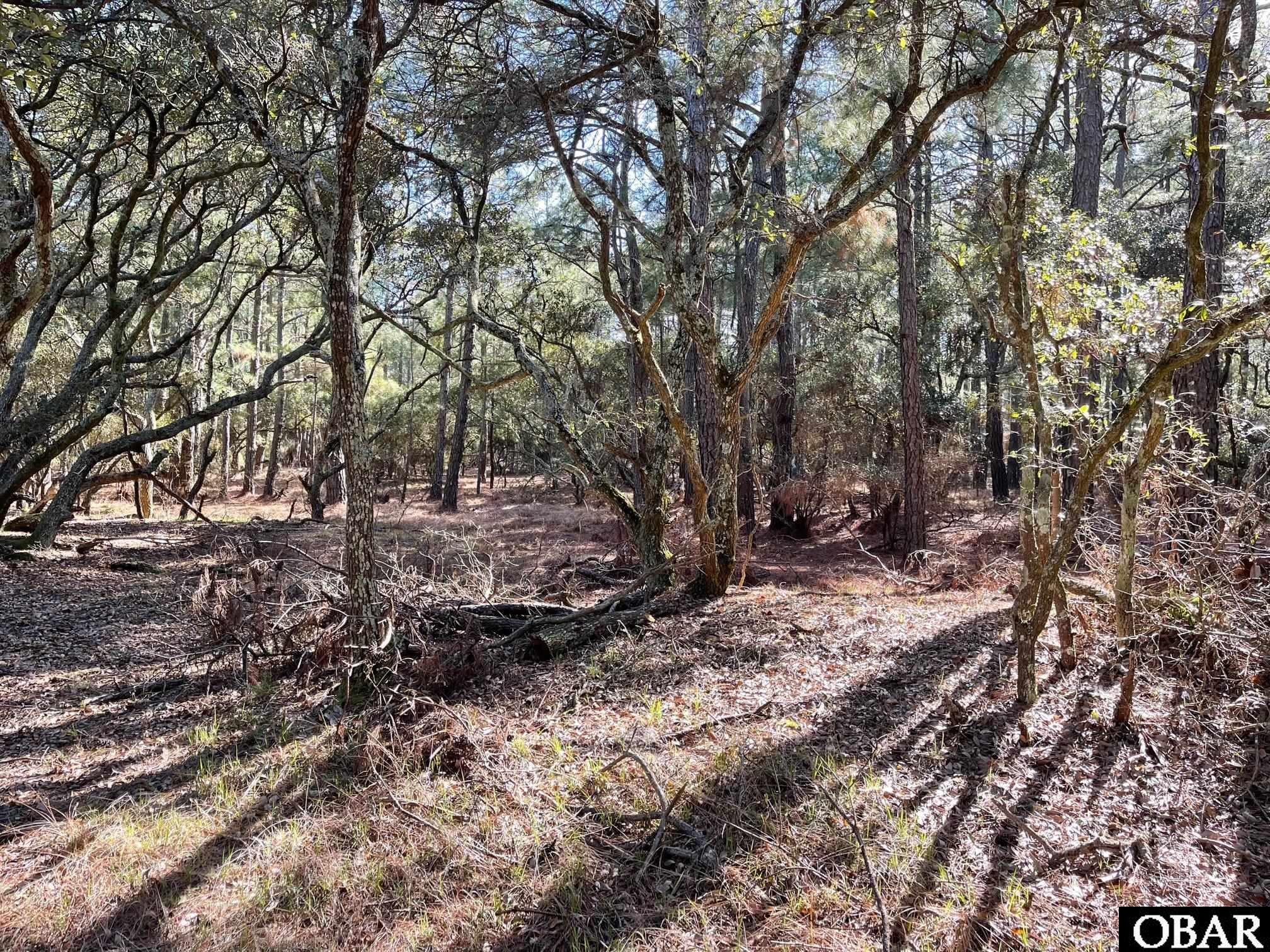 2370 False Cape Road, Corolla, NC 27927, ,Land,For Sale,False Cape Road,118299