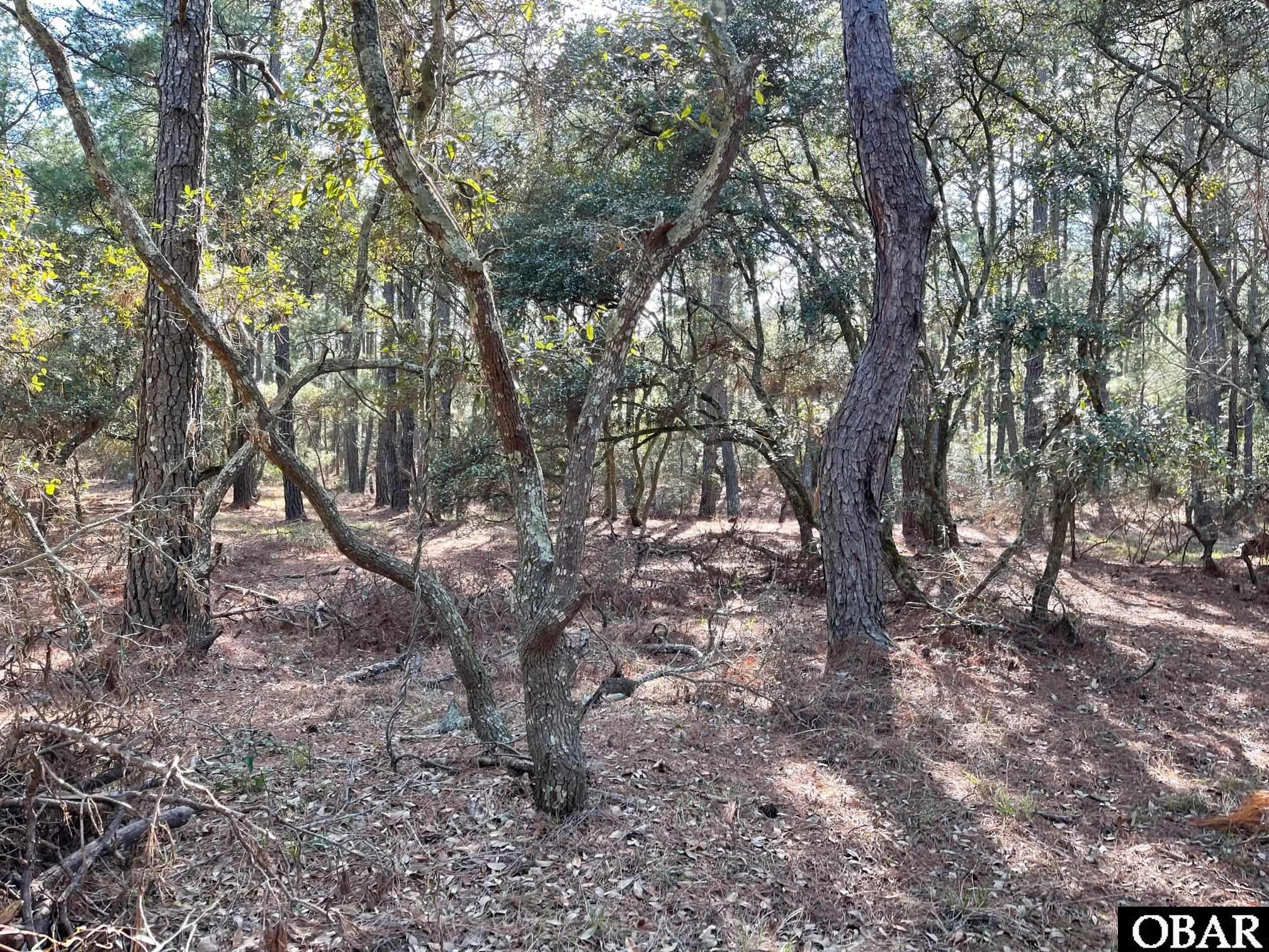 2370 False Cape Road, Corolla, NC 27927, ,Land,For Sale,False Cape Road,118299