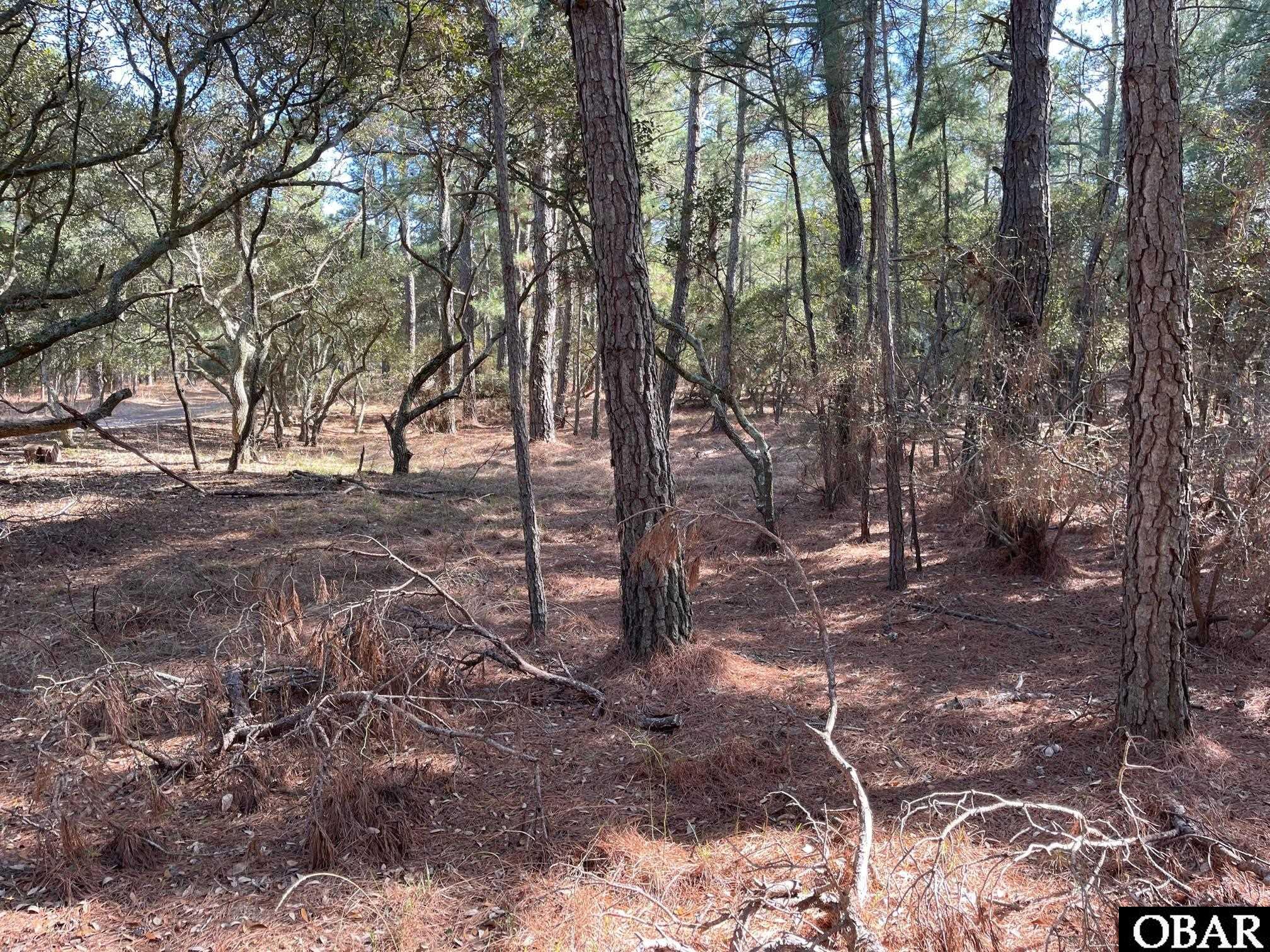 2370 False Cape Road, Corolla, NC 27927, ,Land,For Sale,False Cape Road,118299