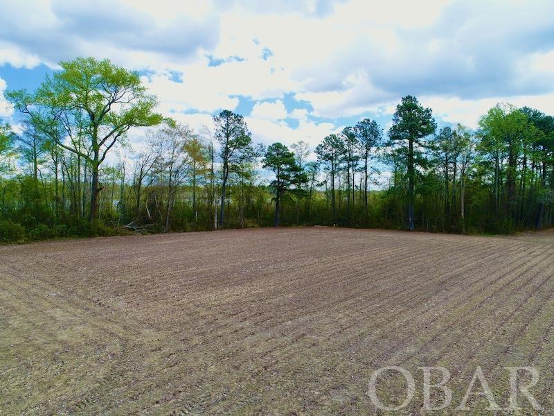 0 Red Bank Road, New Hope, NC 27944, ,Land,For Sale,Red Bank Road,118452