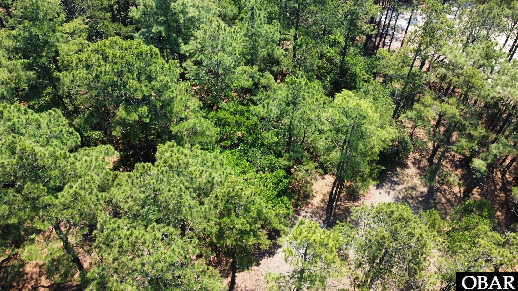 2337 Swan Island Road, Corolla, NC 27927, ,Lots/land,For sale,Swan Island Road,119098