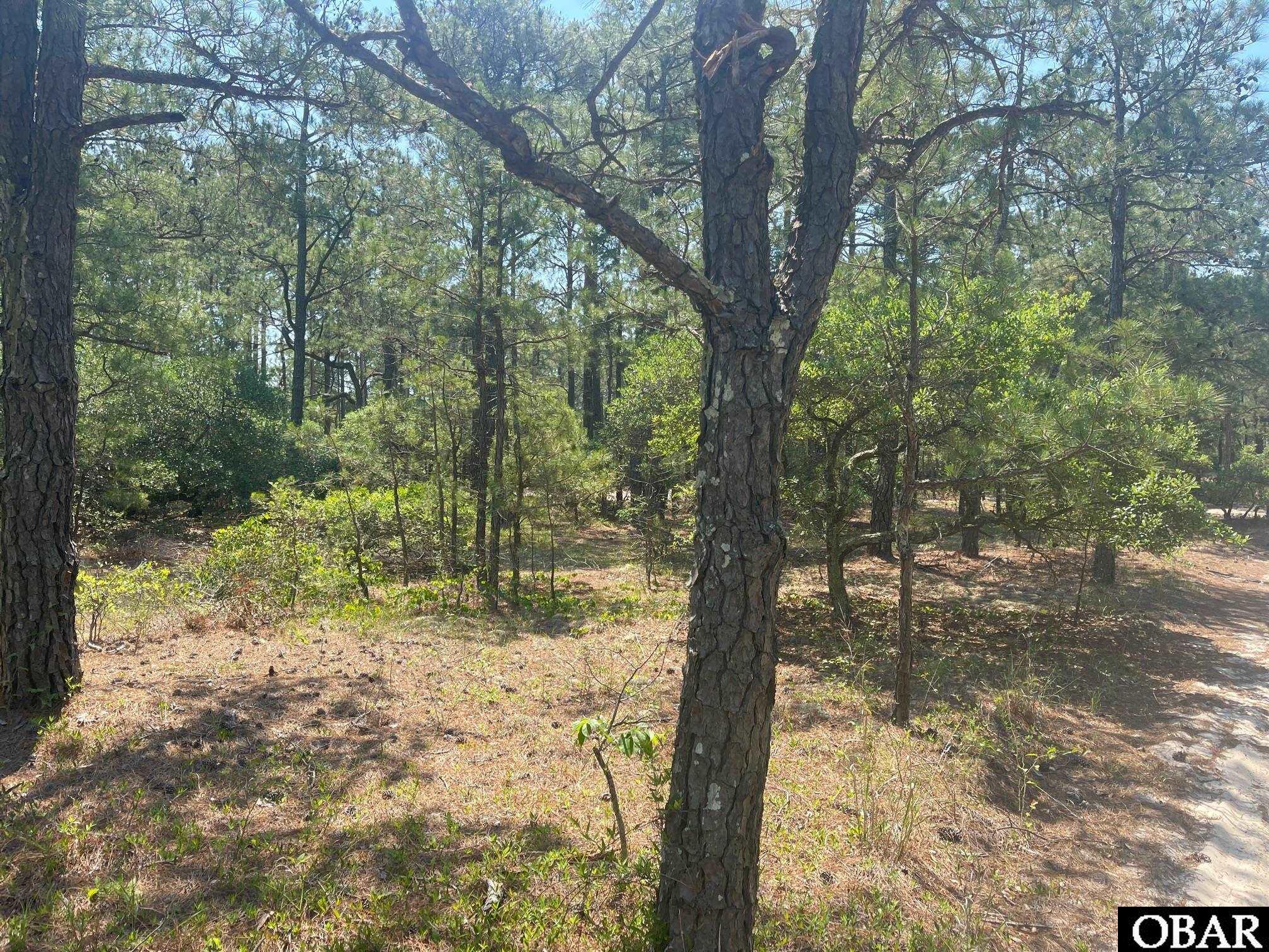 2337 Swan Island Road, Corolla, NC 27927, ,Lots/land,For sale,Swan Island Road,119098