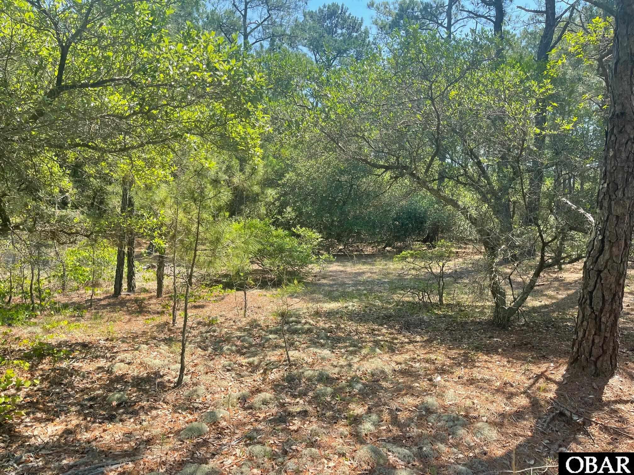 2337 Swan Island Road, Corolla, NC 27927, ,Lots/land,For sale,Swan Island Road,119098