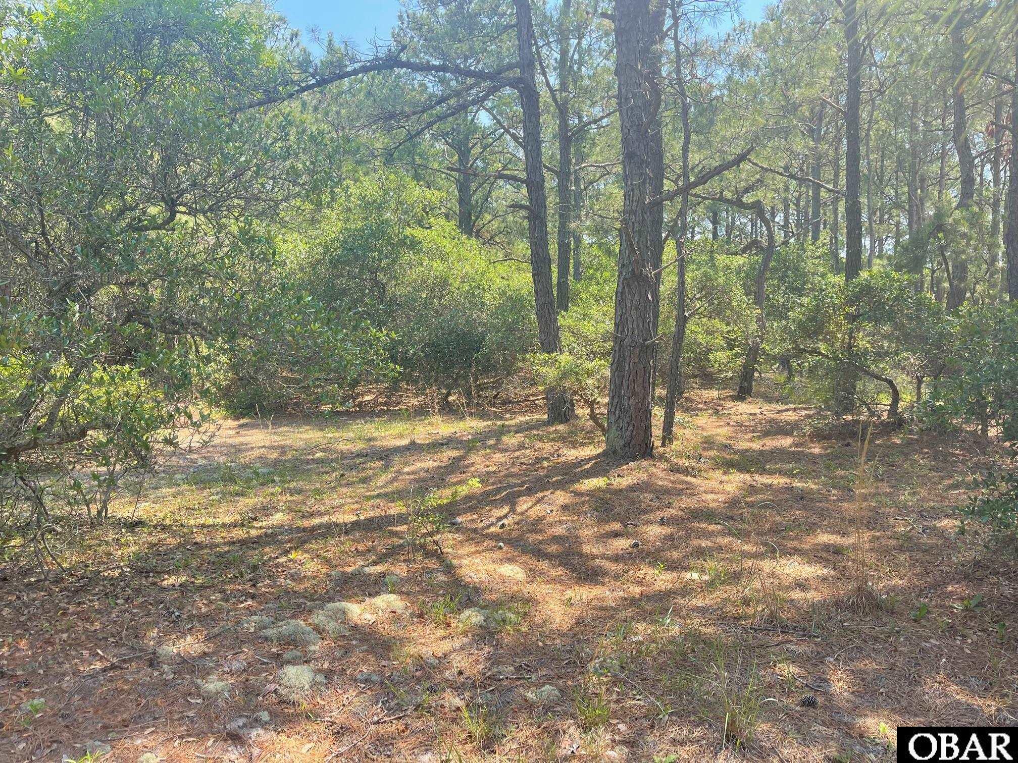 2337 Swan Island Road, Corolla, NC 27927, ,Lots/land,For sale,Swan Island Road,119098