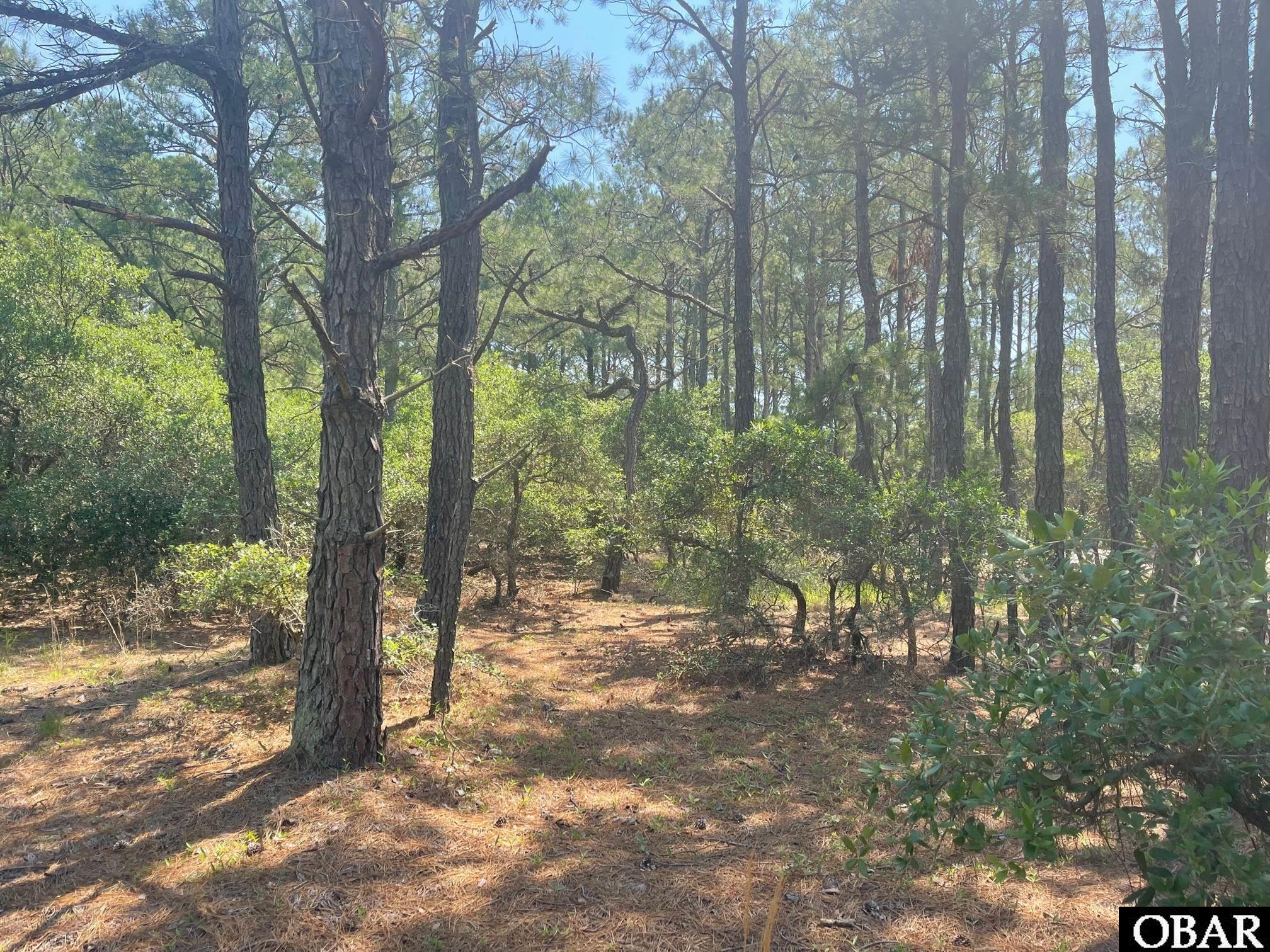 2337 Swan Island Road, Corolla, NC 27927, ,Lots/land,For sale,Swan Island Road,119098