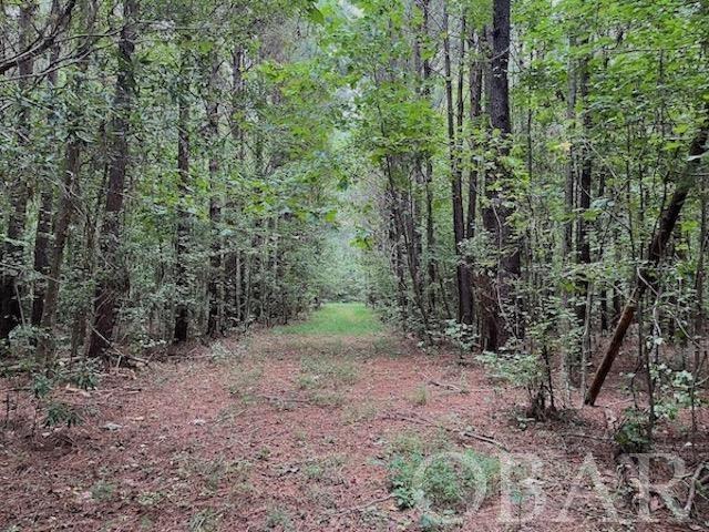 0 Old Hwy 264, Belhaven, NC 27810, ,Land,For Sale,Old Hwy 264,120308