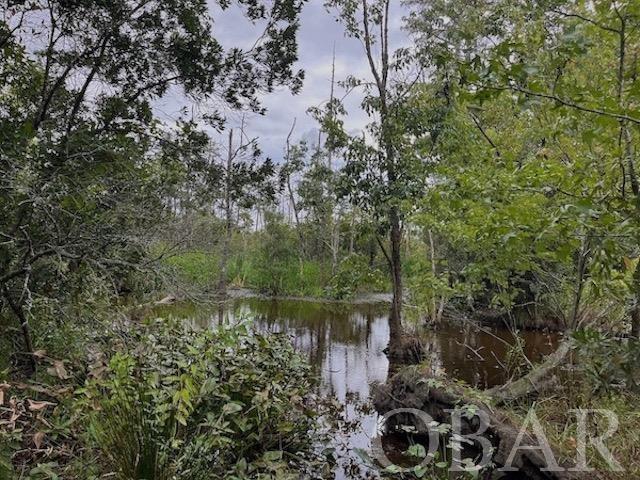 0 Old Hwy 264, Belhaven, NC 27810, ,Land,For Sale,Old Hwy 264,120308