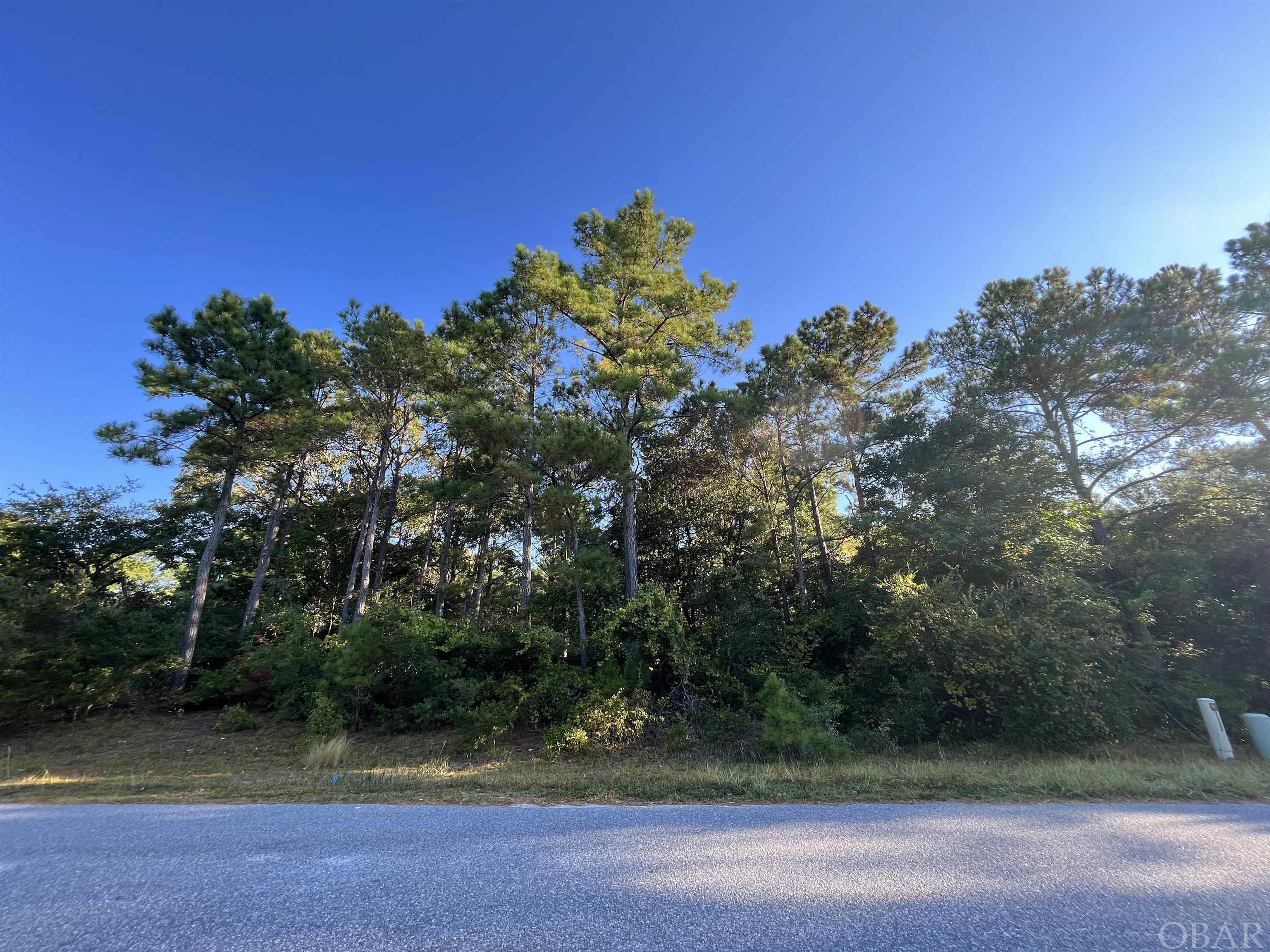 For anyone looking to build a brand-new home, this premium homesite backing into park reserve in a quiet neighborhood is the one.  Almost half an acre of land wooded with marvelous tall pines will give you an opportunity to preserve a lot of privacy for your new home. And just a short ride would take you to all wonderful amenities the Town of Manteo has to offer, such as Roanoke Island Aquarium, Lost Colony, Elizabethan Gardens, and charming downtown Manteo.  Make sure to check out Croatan Soundfront park right next to aquarium just a bike ride away.  Come see it today and fall in love!
