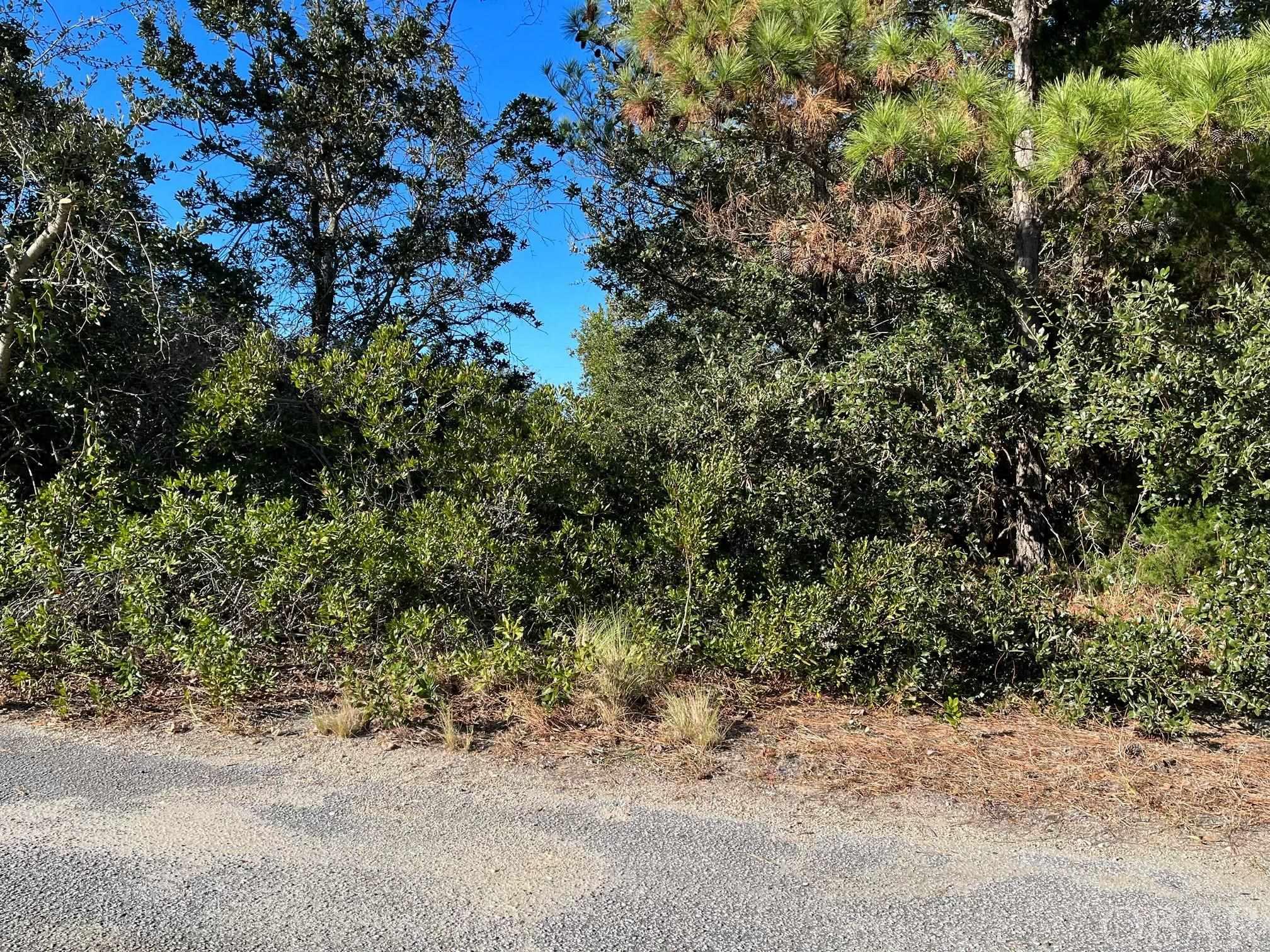 Rare opportunity to own high elevation homesite in Oak Run. Elevations on property run between 15-20 ft. above sea level...flood zone ''X' (per survey). Possible ocean views with two story home looking NE. Plenty of room to stretch out in his wide 15,000 sq. ft. property.