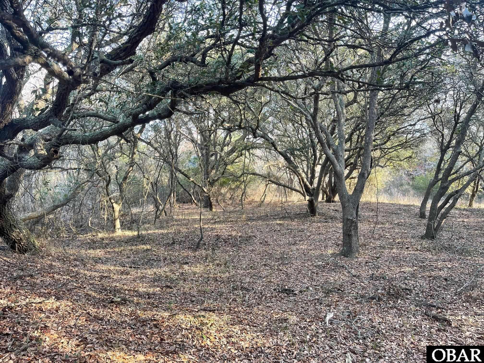 2059 Ocean Pearl Road, Corolla, NC 27927, ,Lots/land,For sale,Ocean Pearl Road,121582