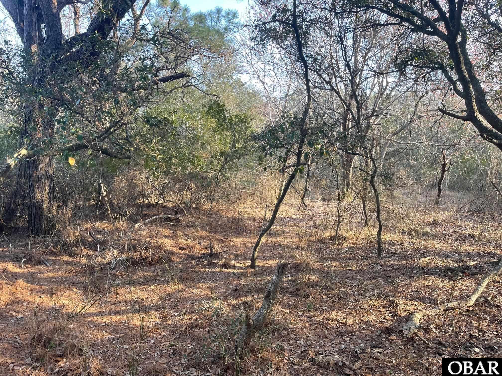 2059 Ocean Pearl Road, Corolla, NC 27927, ,Lots/land,For sale,Ocean Pearl Road,121582