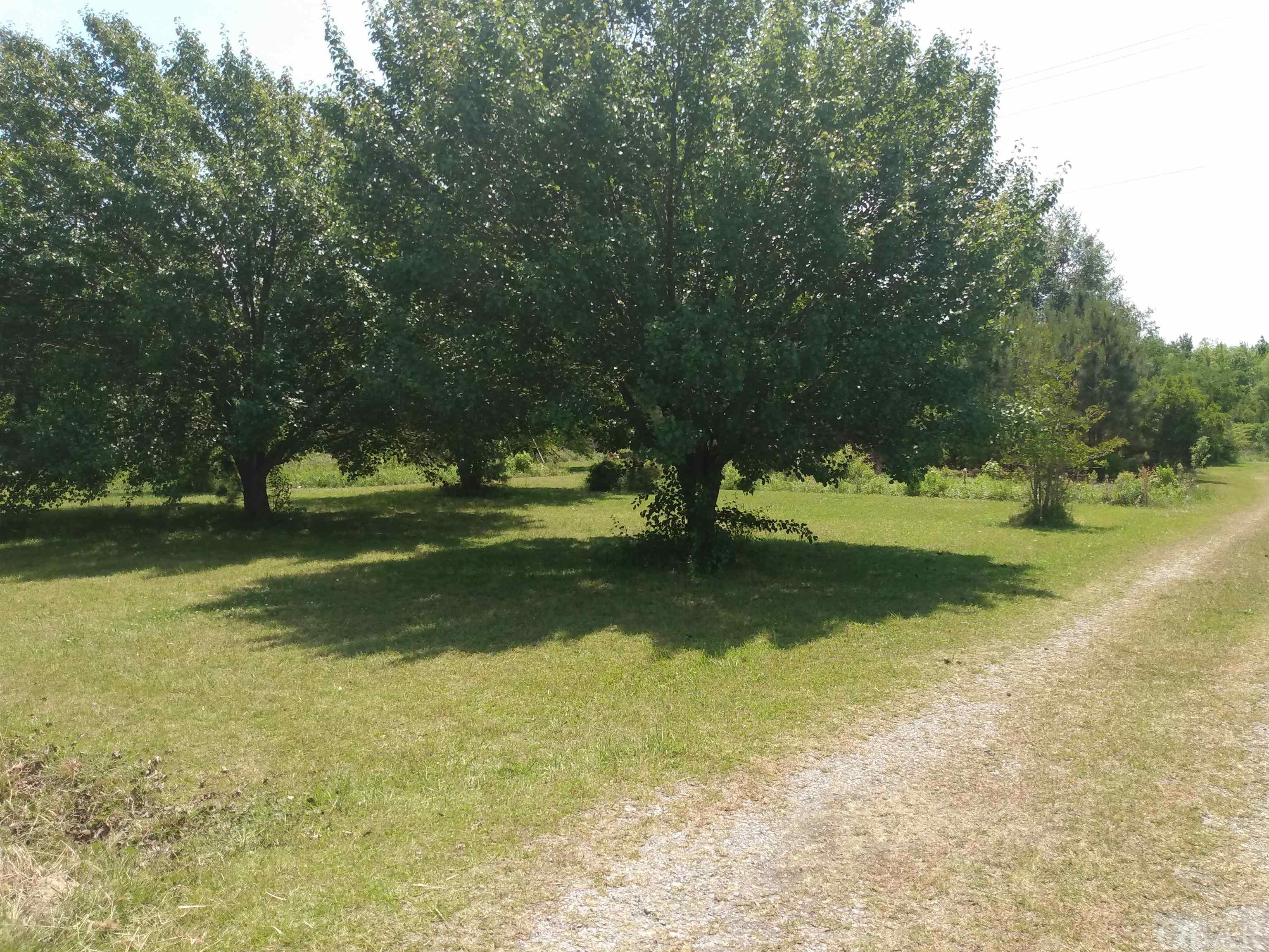 This spacious lot off of Highway 64 East, Columbia, NC offers 1.21 acres with municipal water, existing septic system and available electrical power. Lots of space for new home, garden, livestock  & more! It is located 1.5 miles east of Columbia on 64, a heavily traveled corridor to the NC OBX! High visibility location! Offered at $60,000.