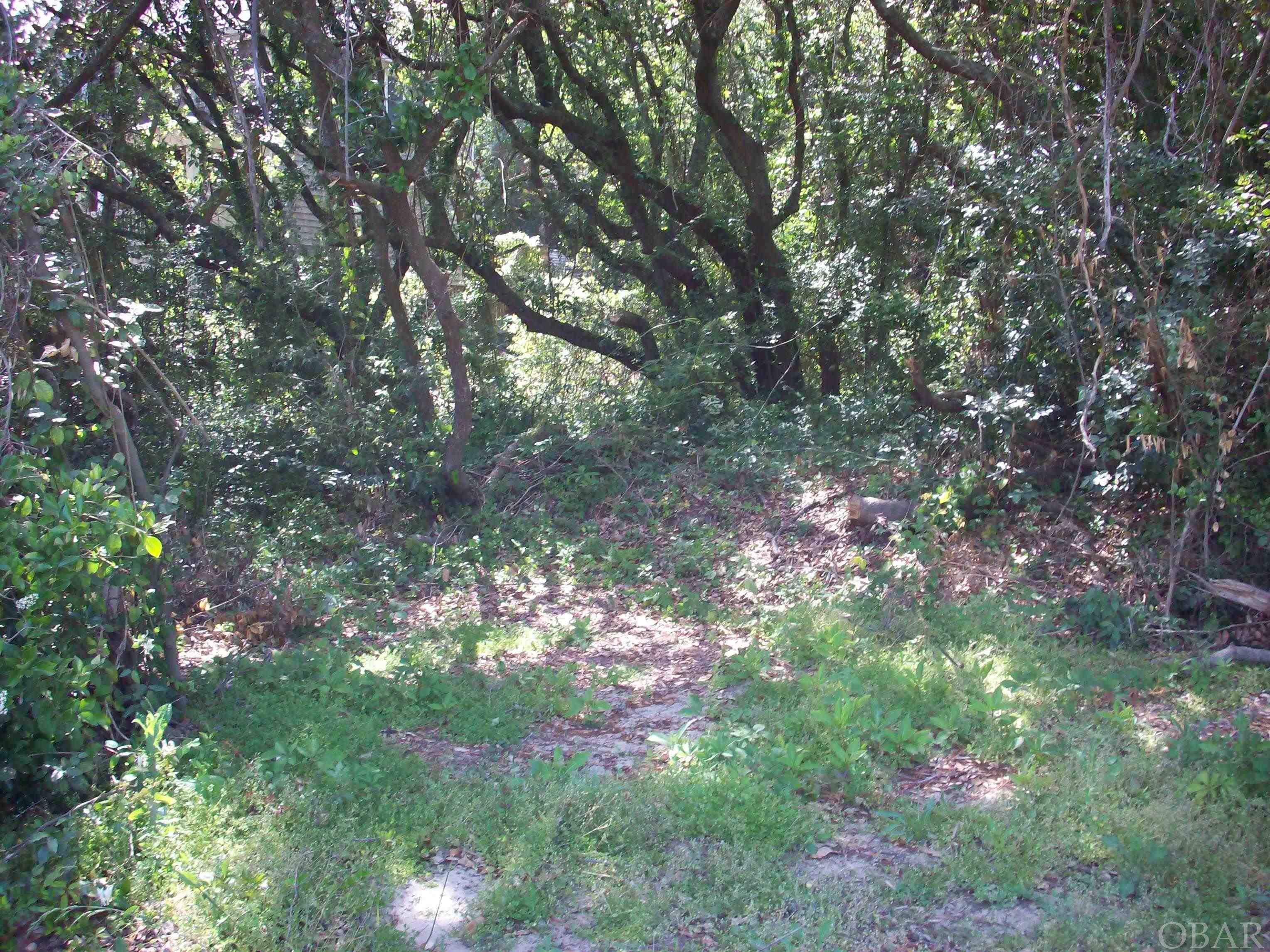 good size lot in the Cove, Remove tree growth required to build and enjoy surrounding growth and privacy.