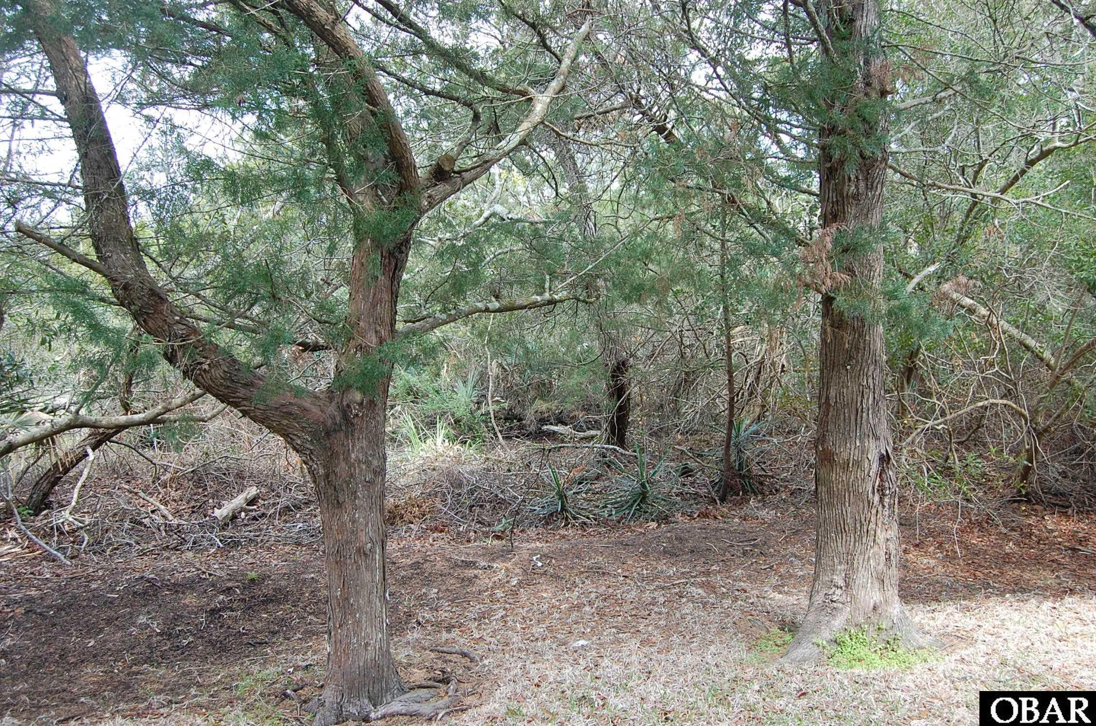 TBD Second Avenue, Ocracoke, NC 27960, ,Lots/land,For sale,Second Avenue,122363