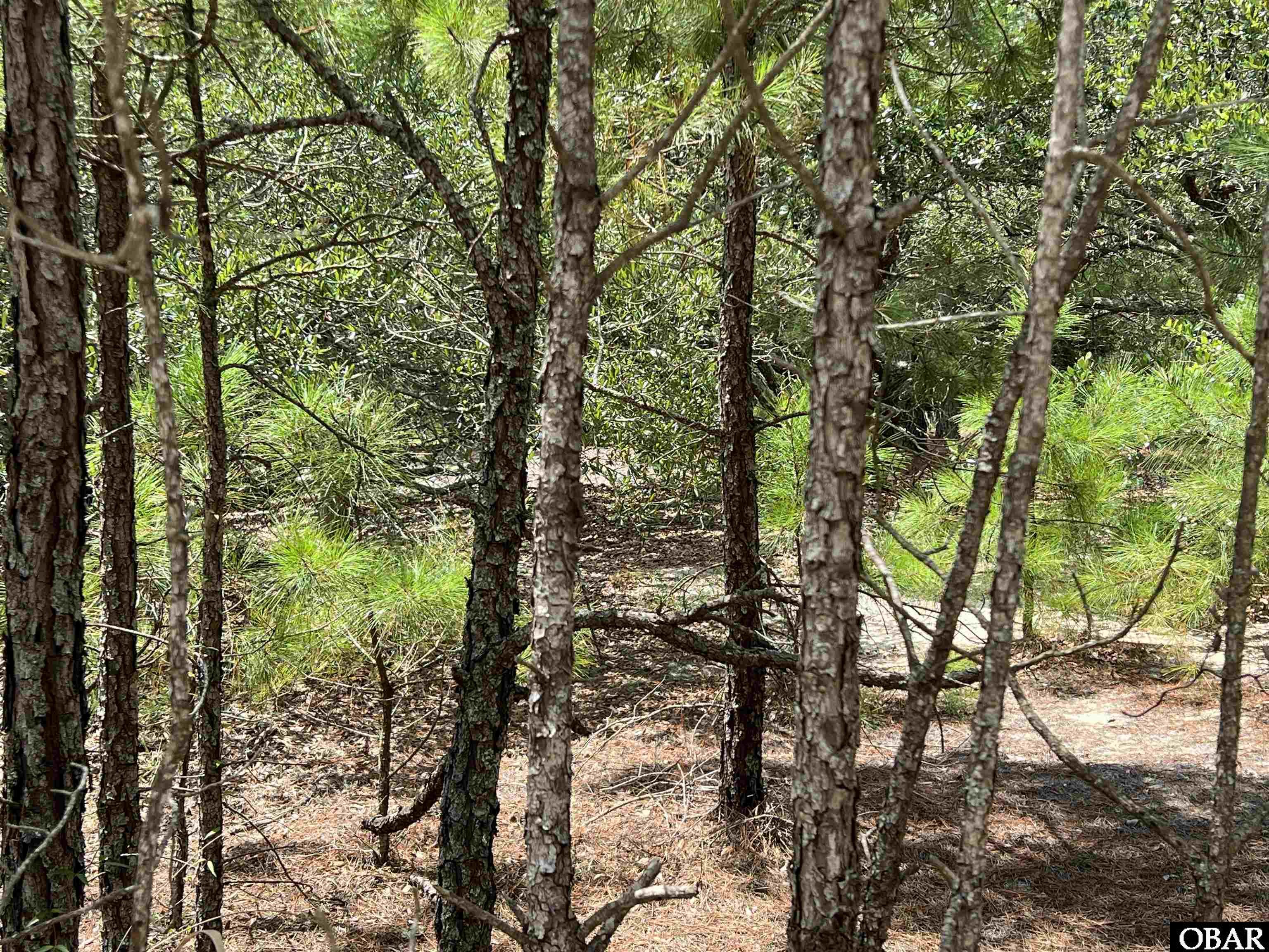 2312 Swan Island Road, Corolla, NC 27927, ,Lots/land,For sale,Swan Island Road,122764