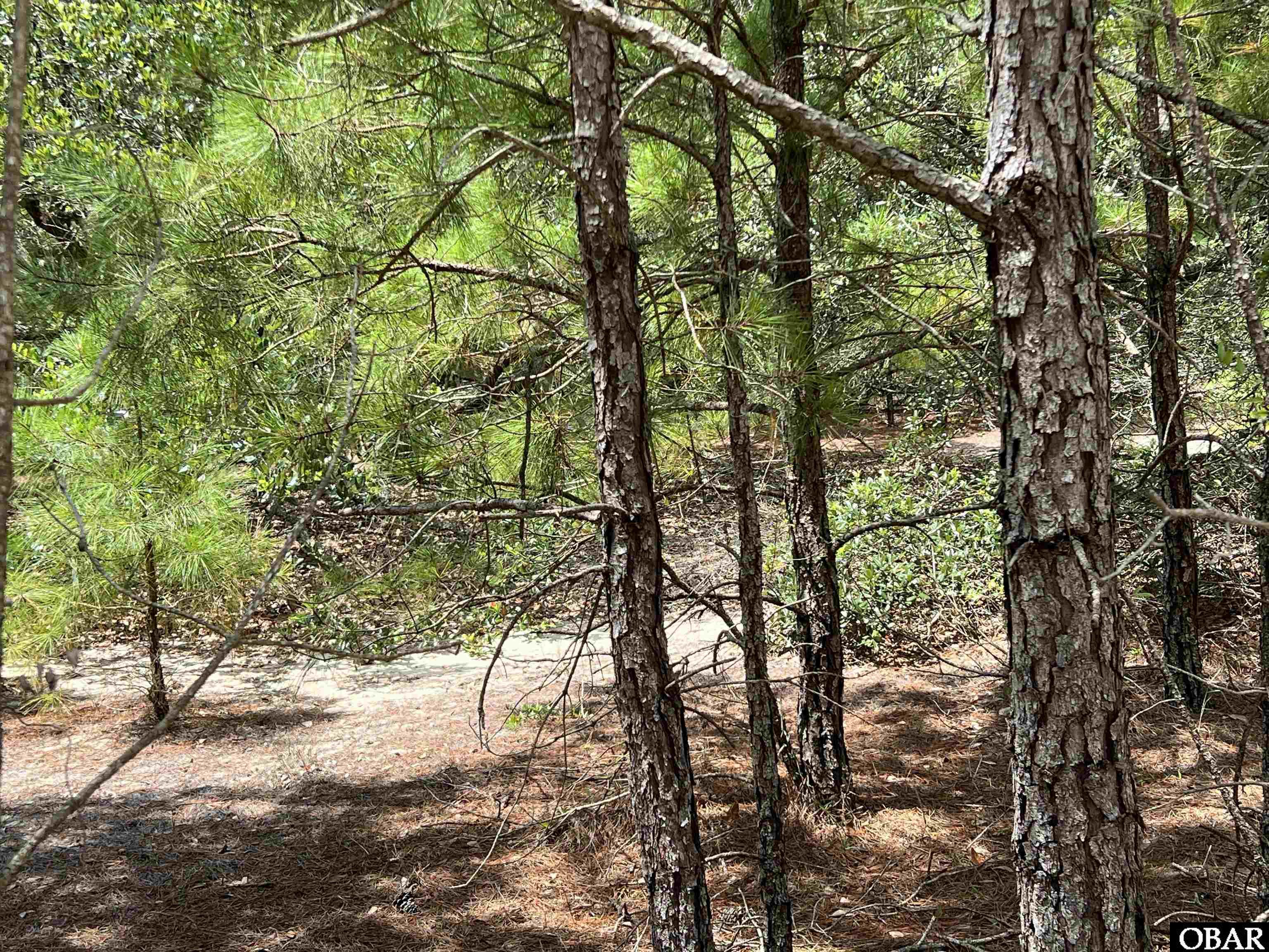 2312 Swan Island Road, Corolla, NC 27927, ,Lots/land,For sale,Swan Island Road,122764
