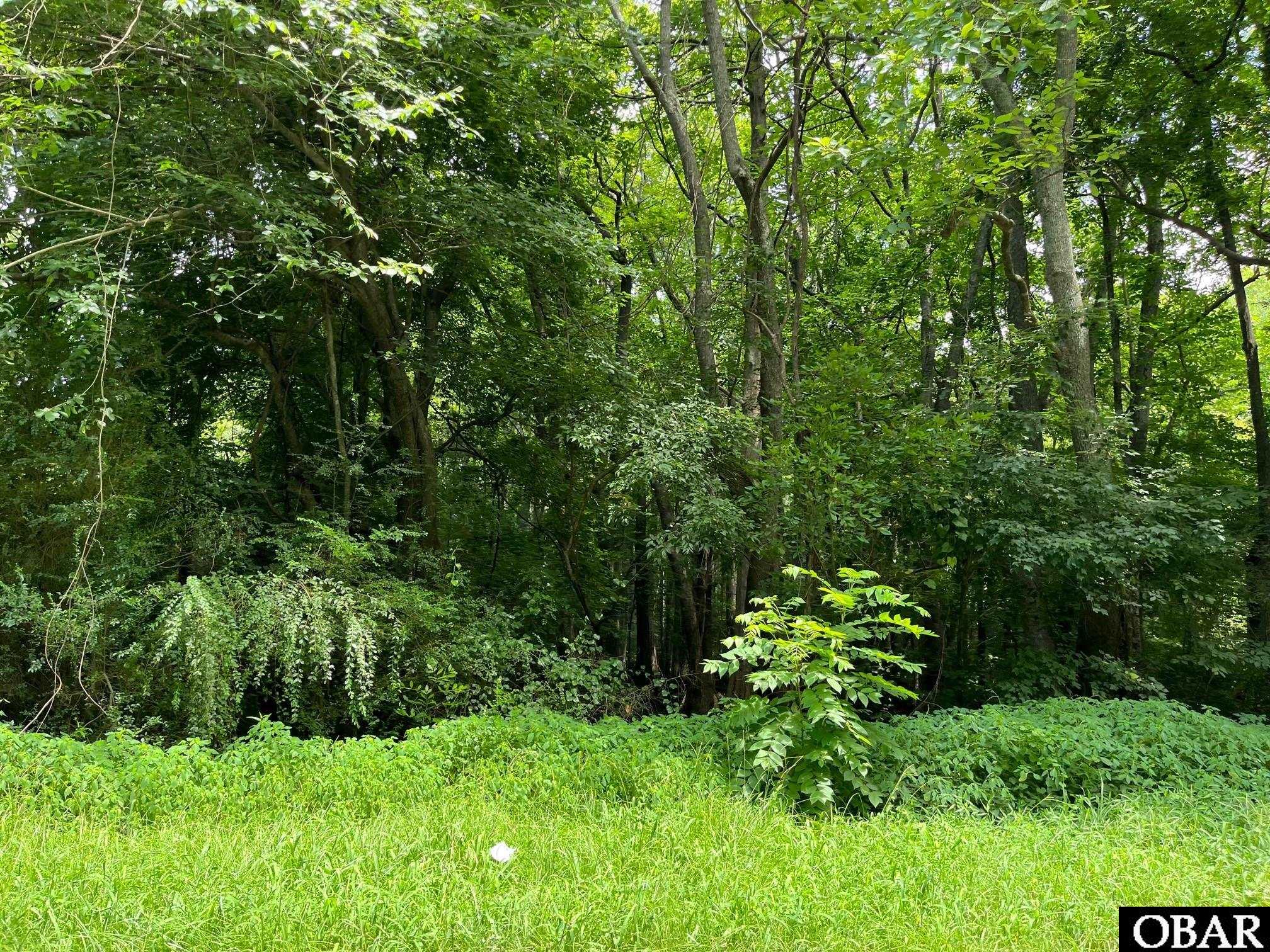 0000 Florida Road, Elizabeth City, NC 27909, ,Lots/land,For sale,Florida Road,122880